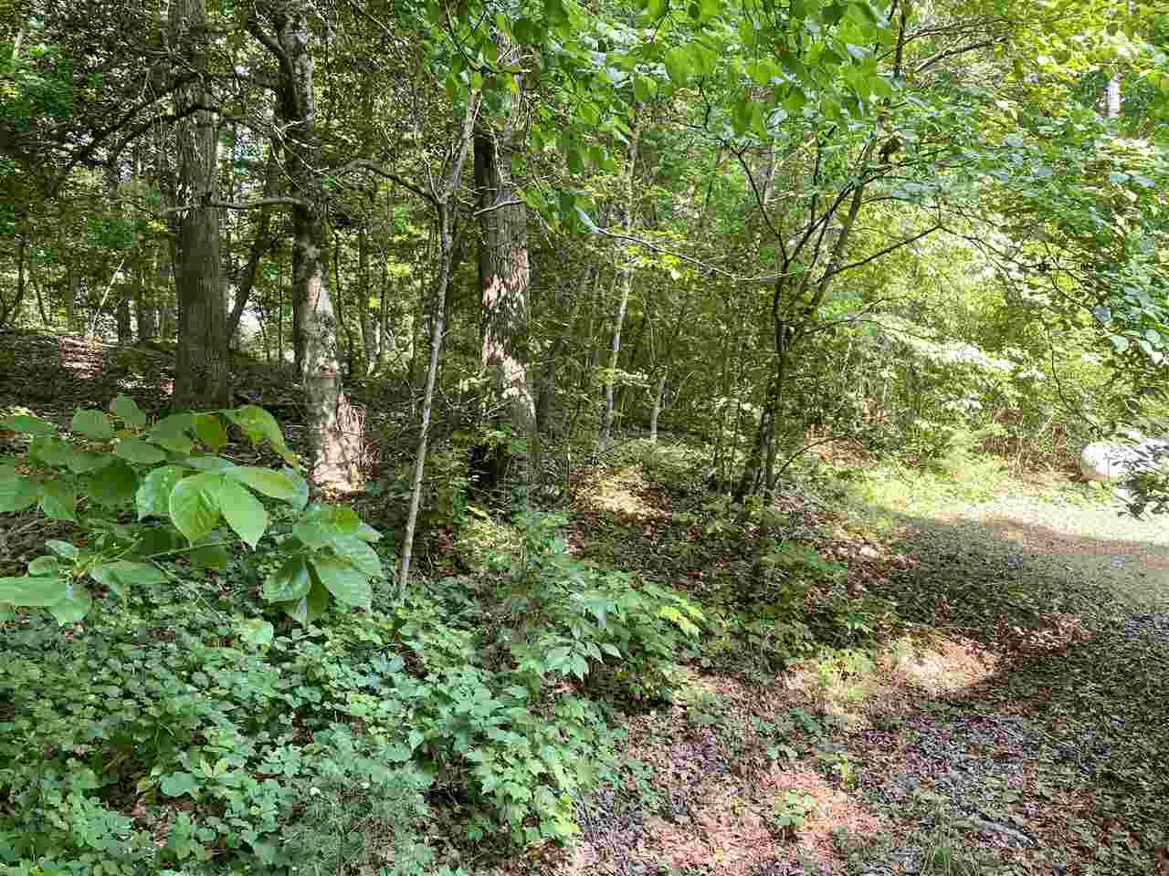 4612 Forestville Road Raleigh, NC 27616 - Photo 23 of 28 Back of Yard