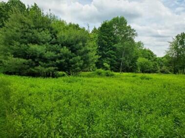 149 North Street Road Farmington, ME 04938 - Photo 2 of 8 Beautiful Natural Landscape