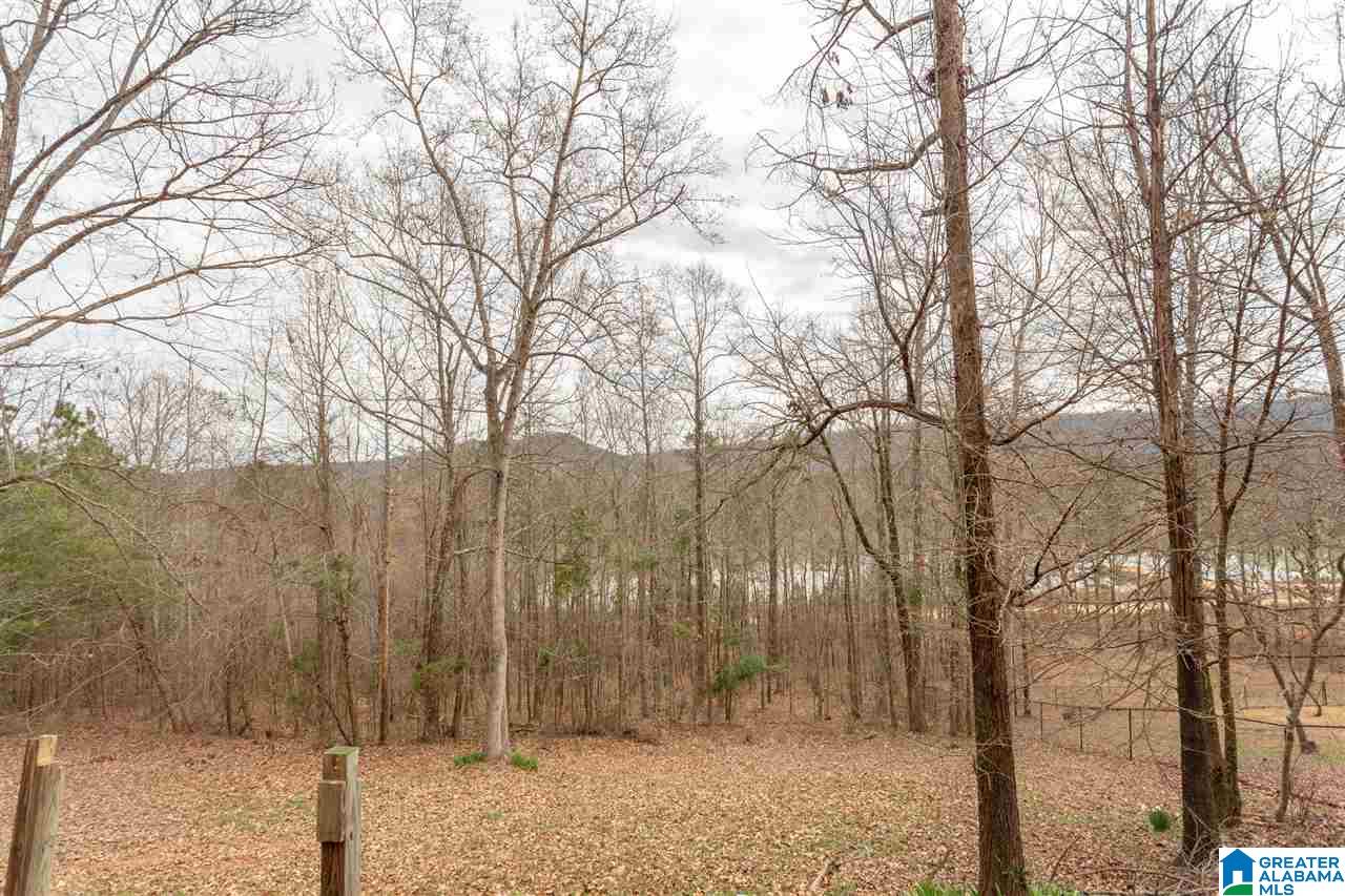 40 Ridgewood Lane Odenville, AL 35120 - Photo 45 of 47