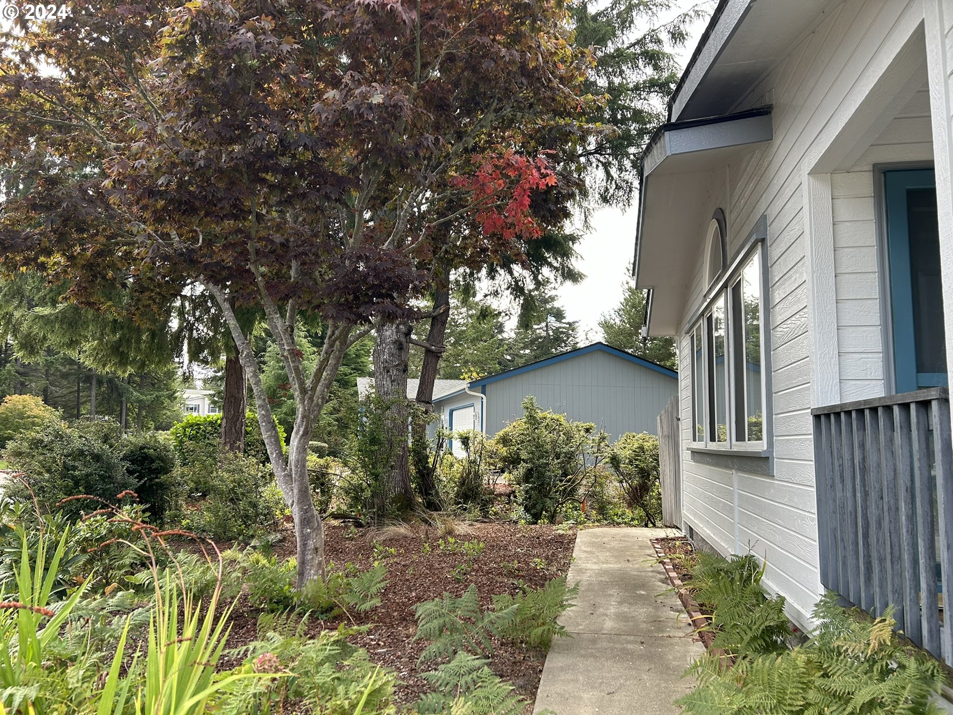 853 Munsel Creek Loop Florence, OR 97439 - Photo 4 of 44 a backyard of a house with lots of green space