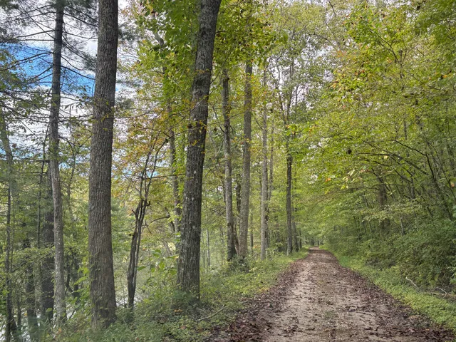 $25,000 | 0 Lot 104 Bear Den Trail, Grandview, TN 37337