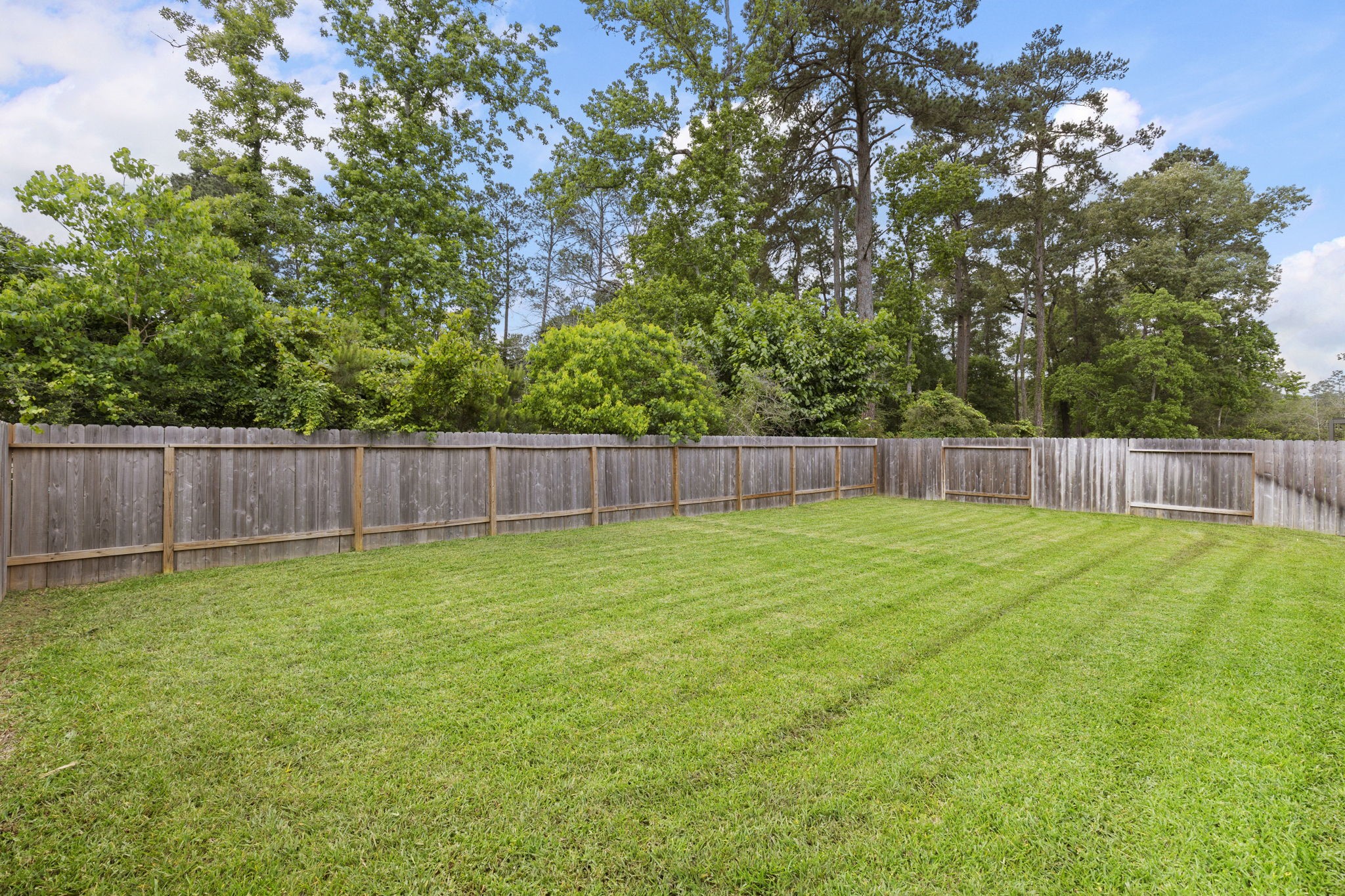 14006 Juniper Point Lane Conroe, TX 77384 - Photo 19 of 19