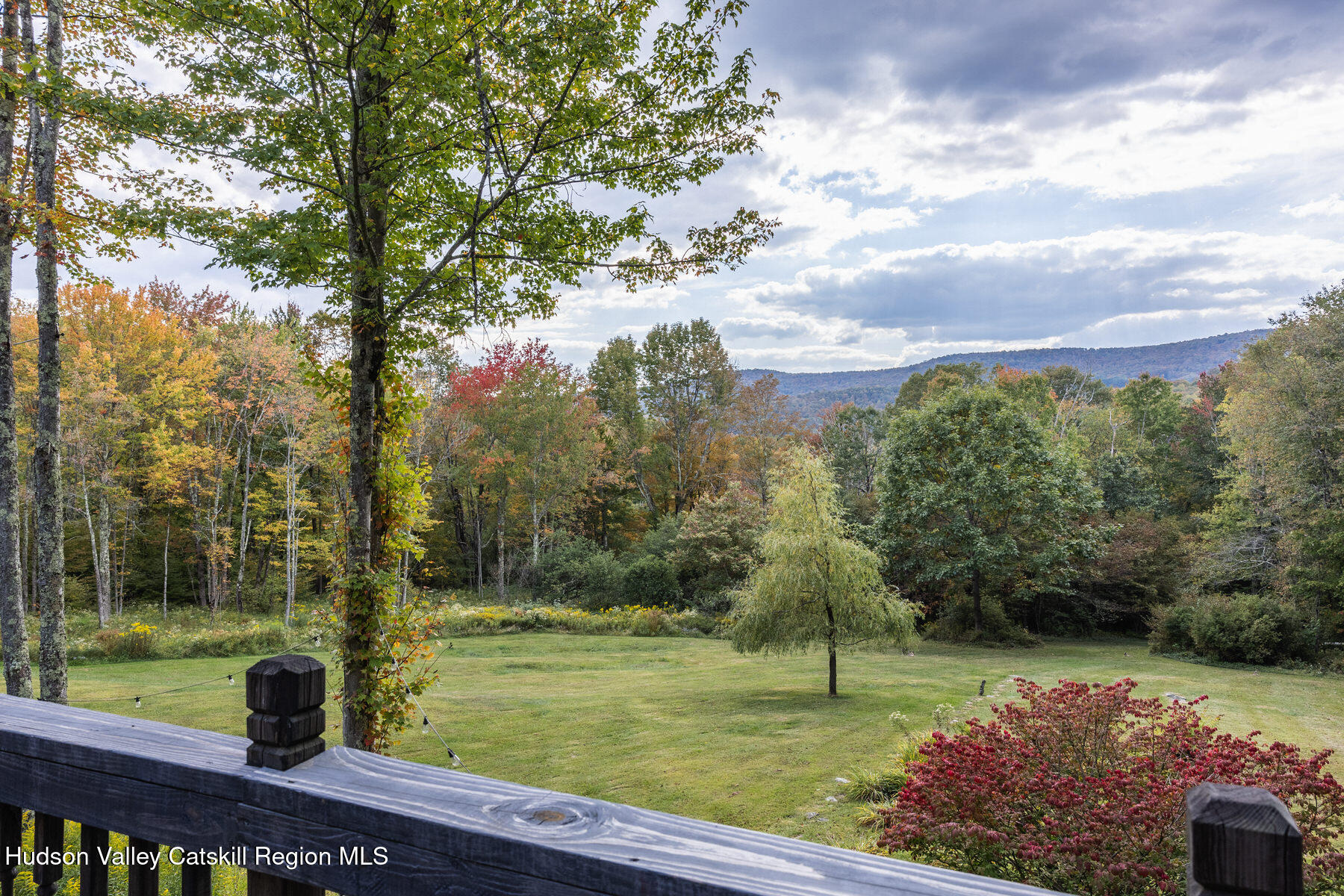209 Alder Pond Road Andes, NY 13731 - Photo 27 of 32 a view of a garden with large trees