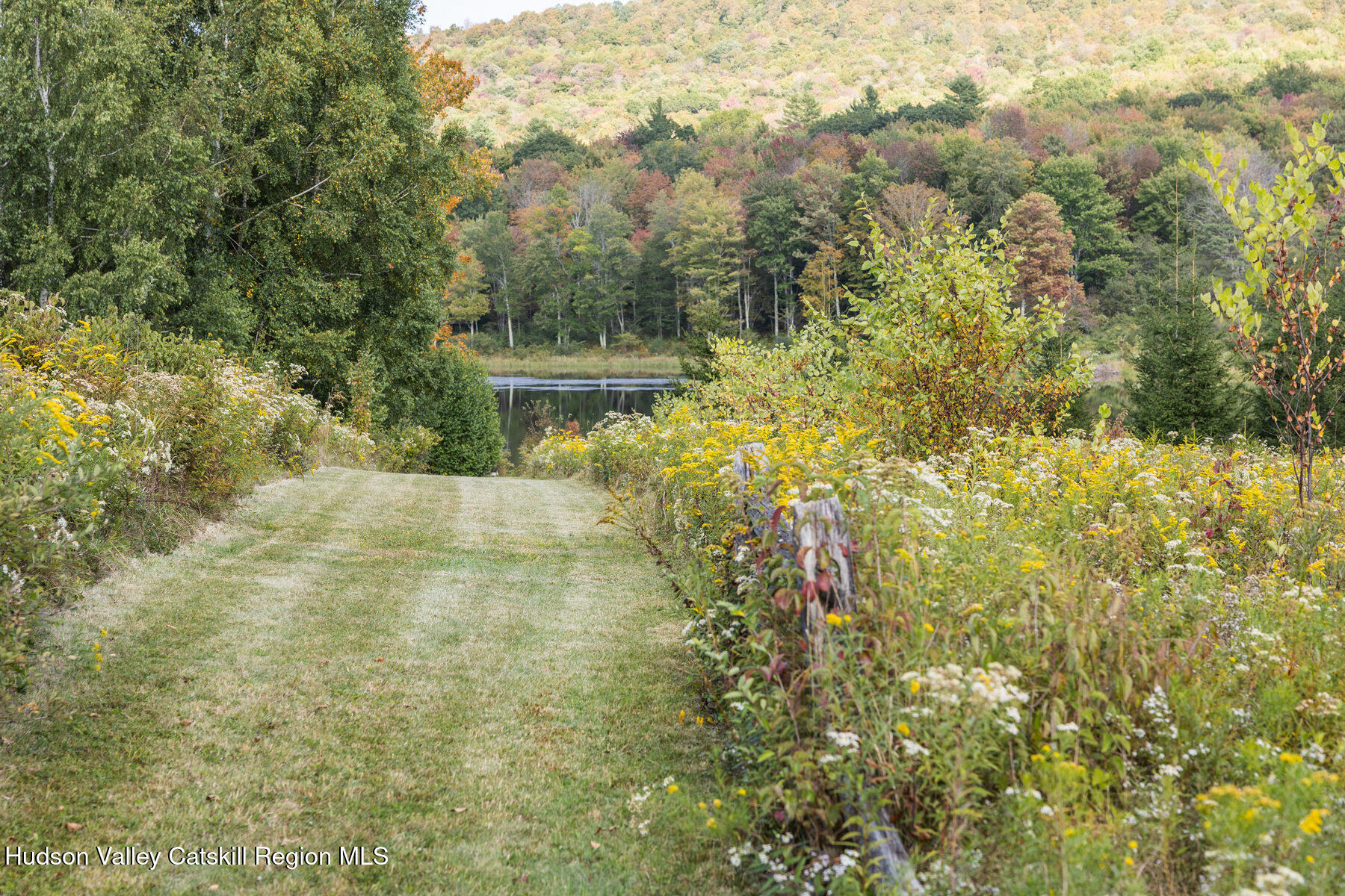 209 Alder Pond Road Andes, NY 13731 - Photo 30 of 32 a view of a yard