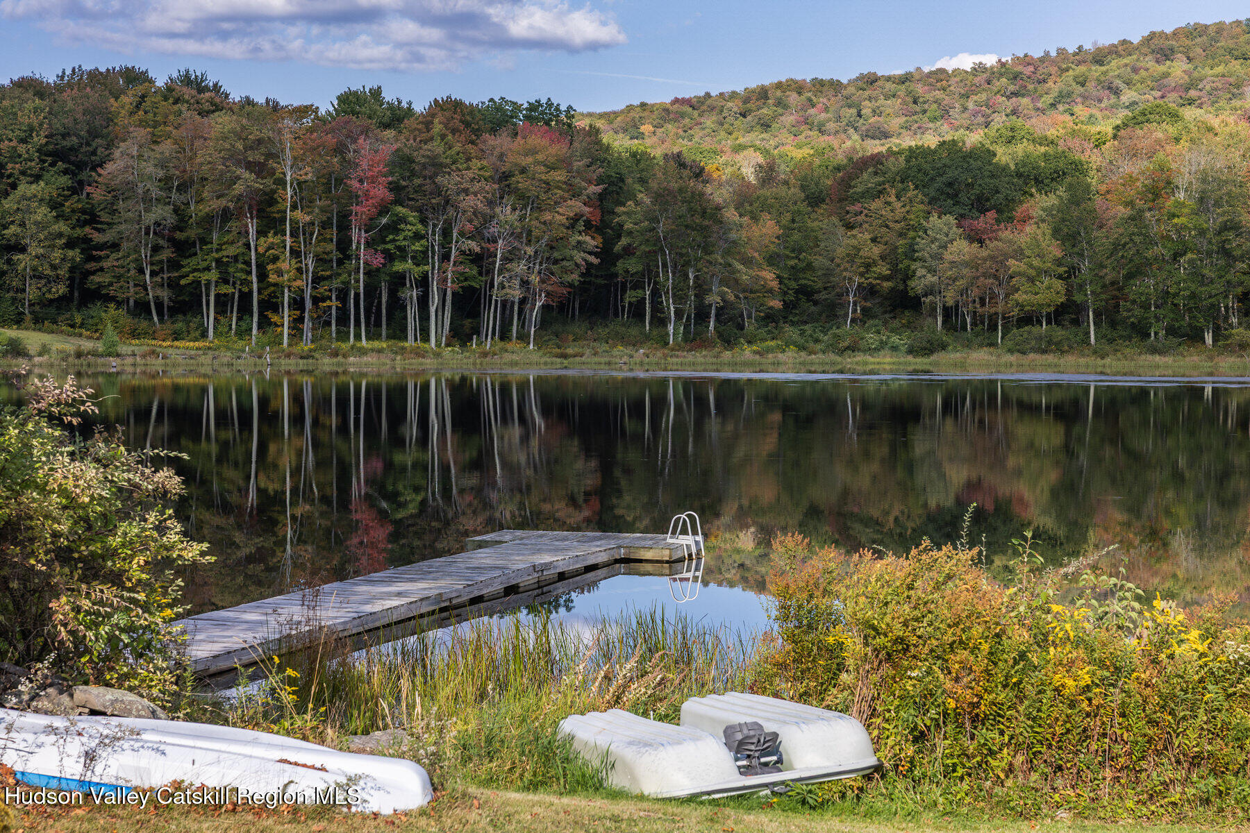 209 Alder Pond Road Andes, NY 13731 - Photo 31 of 32 a view of a lake in middle of the forest