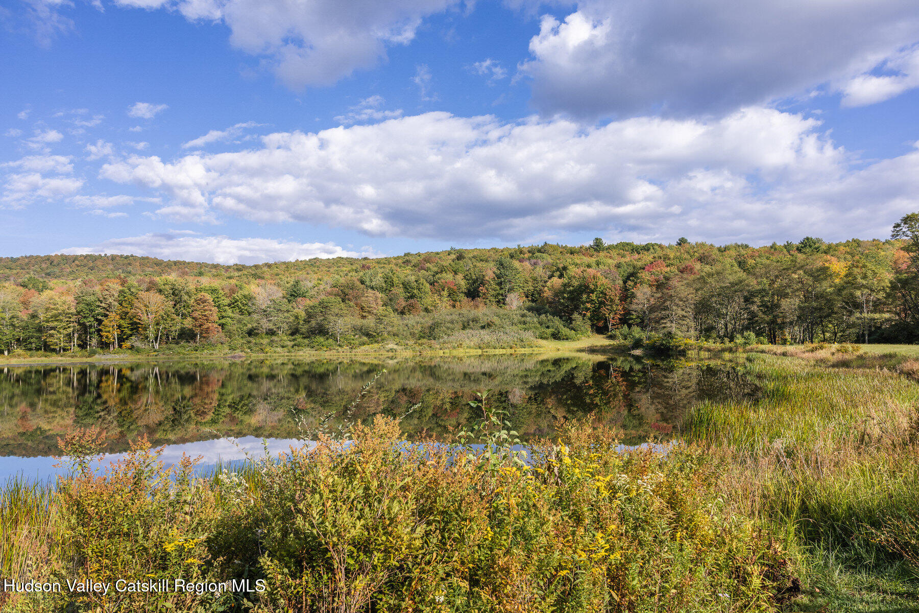209 Alder Pond Road Andes, NY 13731 - Photo 32 of 32 a view of lake