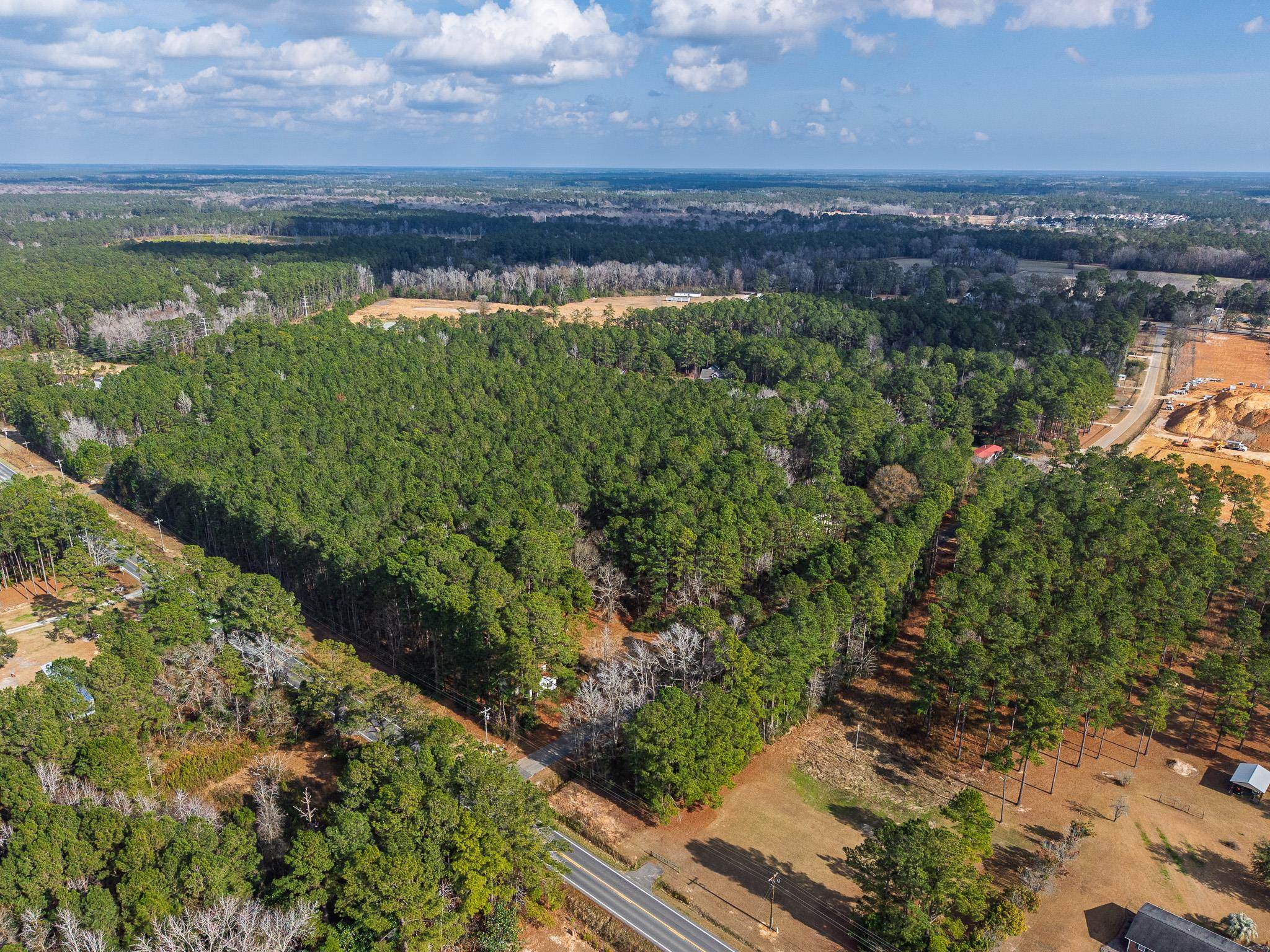 5775 Red Bluff Road Longs, SC 29568 - Photo 3 of 12