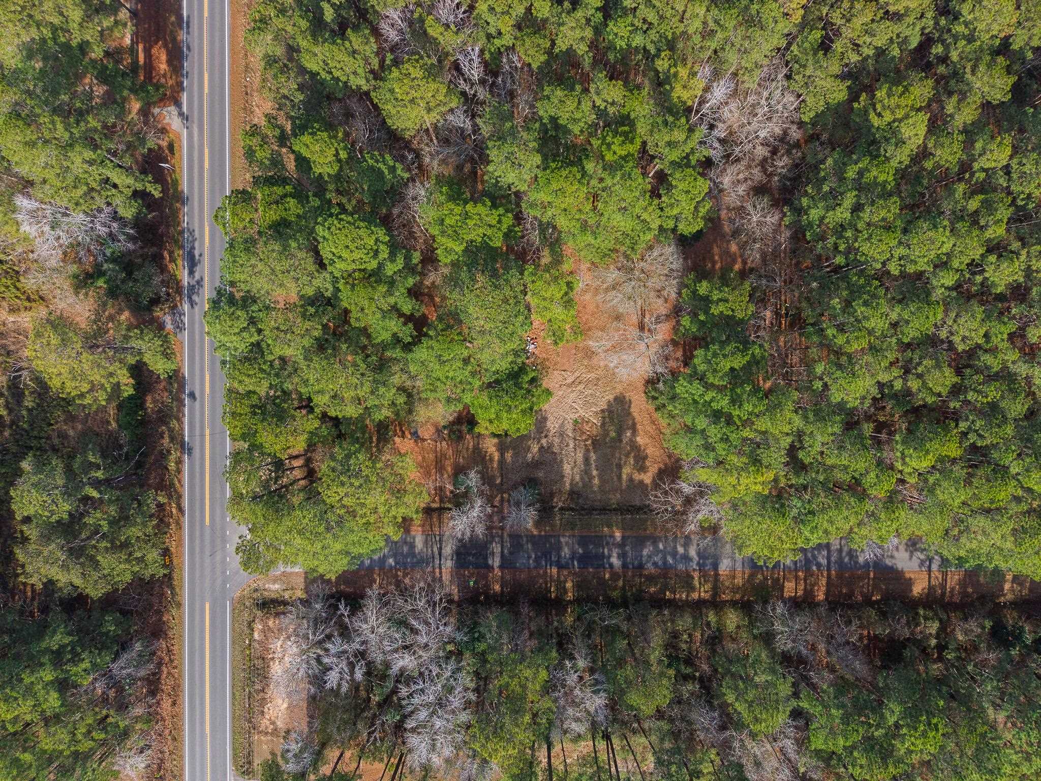 5775 Red Bluff Road Longs, SC 29568 - Photo 4 of 12