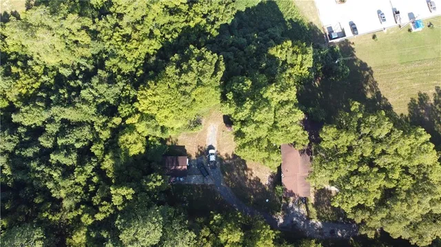 a picture of flowers