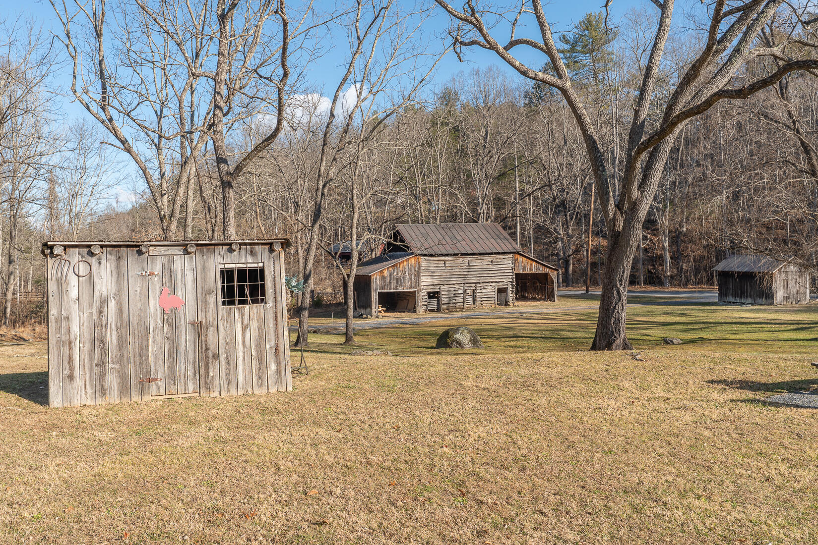 6102 Jennings Creek Road Buchanan, VA 24066 - Photo 55 of 79 a house with trees in front of it