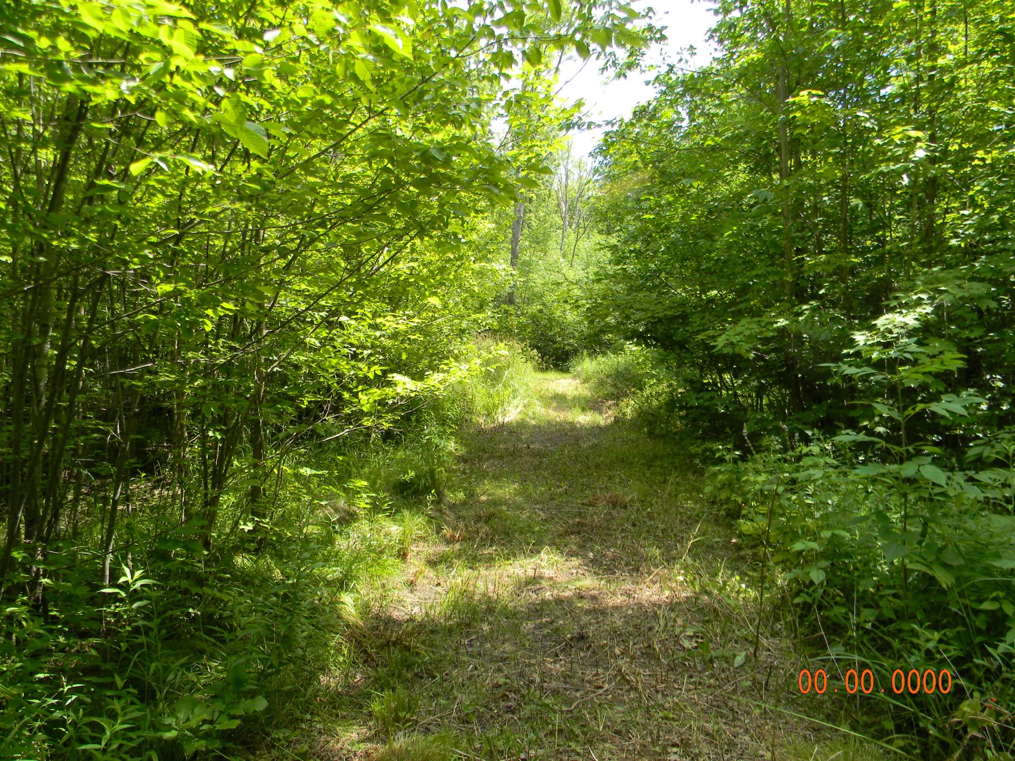 On Burr Oak Road Kennan, WI 54537 - Photo 15 of 28 Gallery Image 15