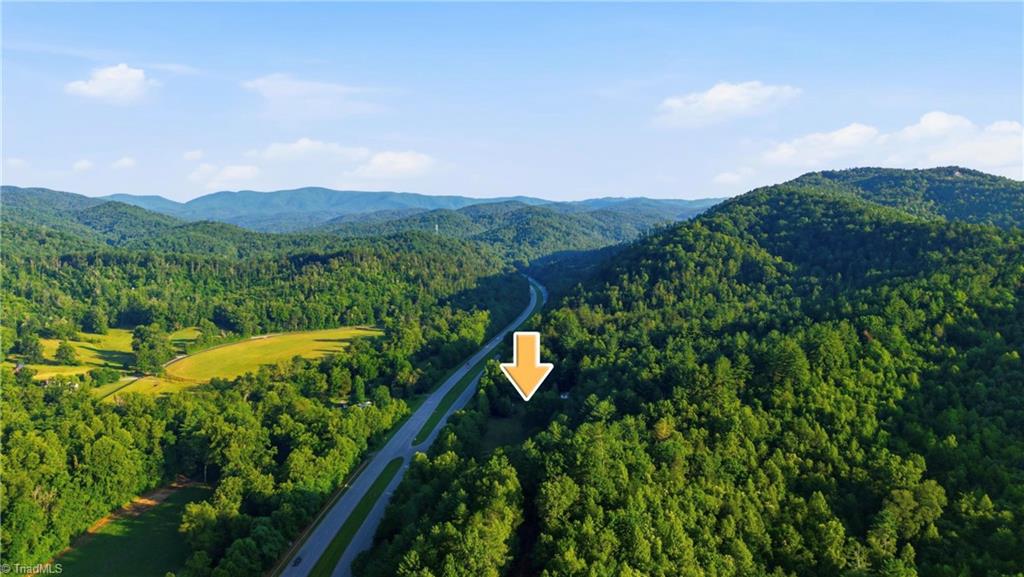 11526 Highway 421 Purlear, NC 28665 - Photo 4 of 45