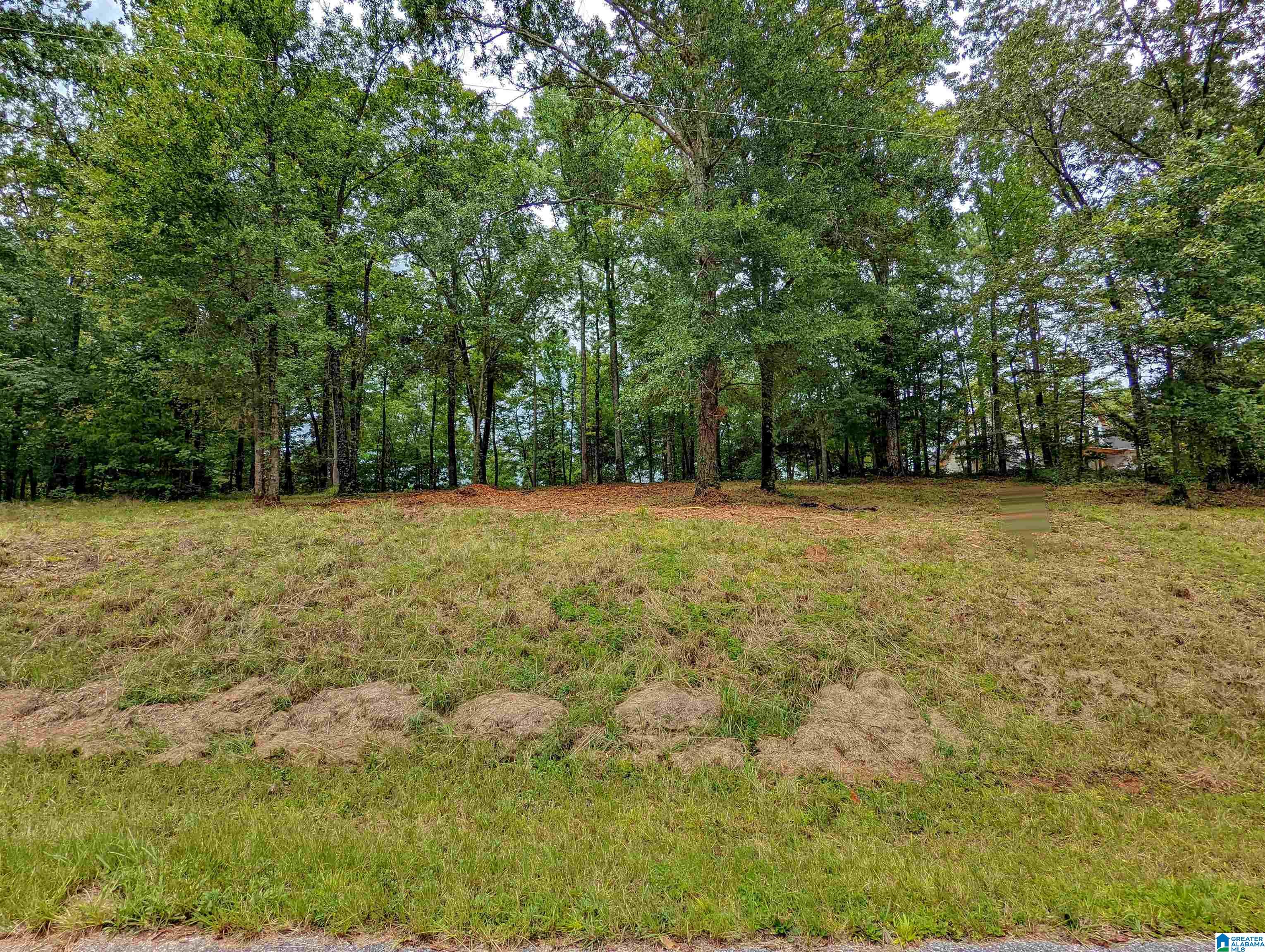 Lake Front Trail, Unit 17 Clanton, AL 35046 - Photo 4 of 12