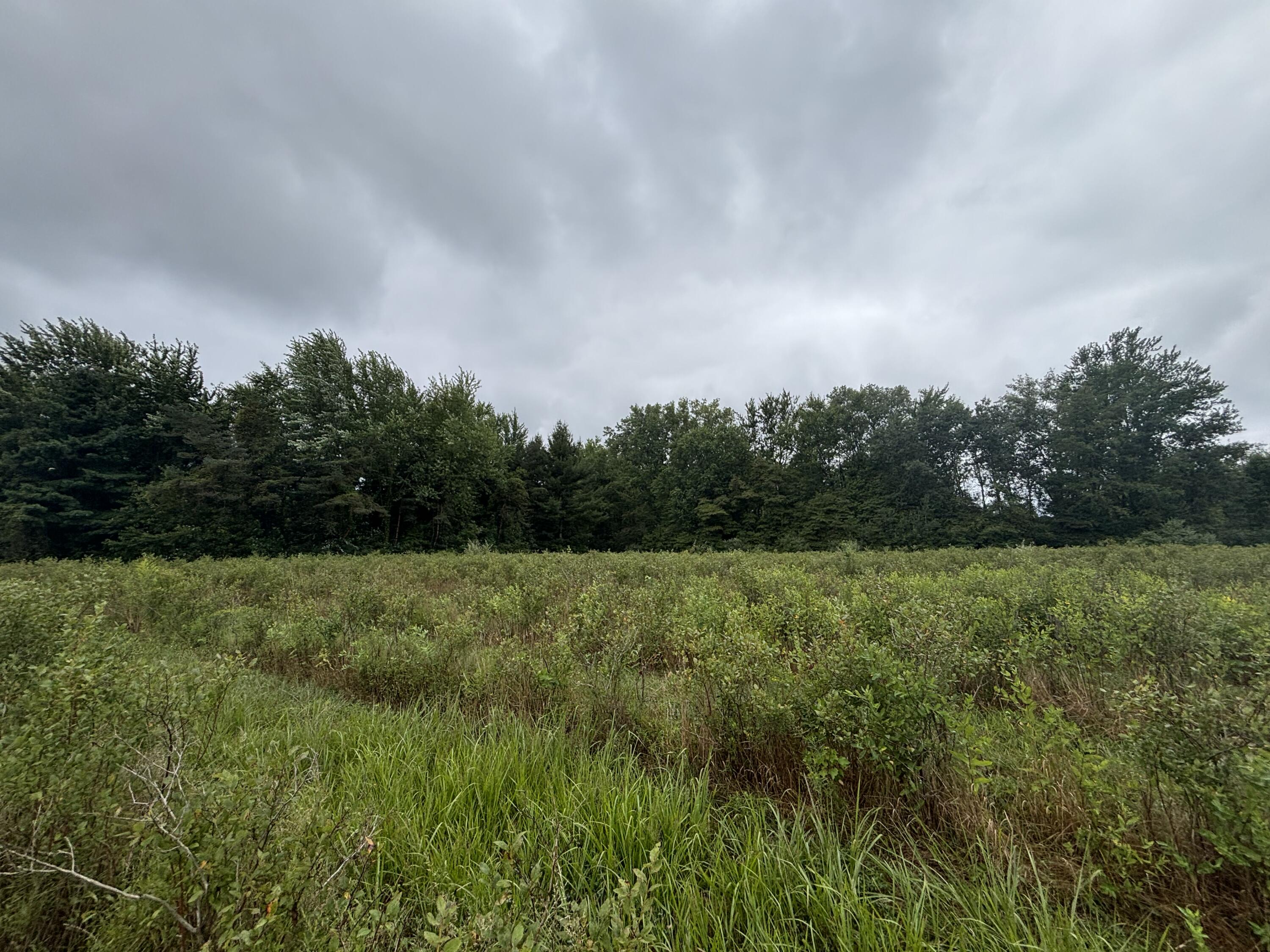 4.17 A Coloma Road Benton Harbor, MI 49022 - Photo 11 of 21 IMG_8744