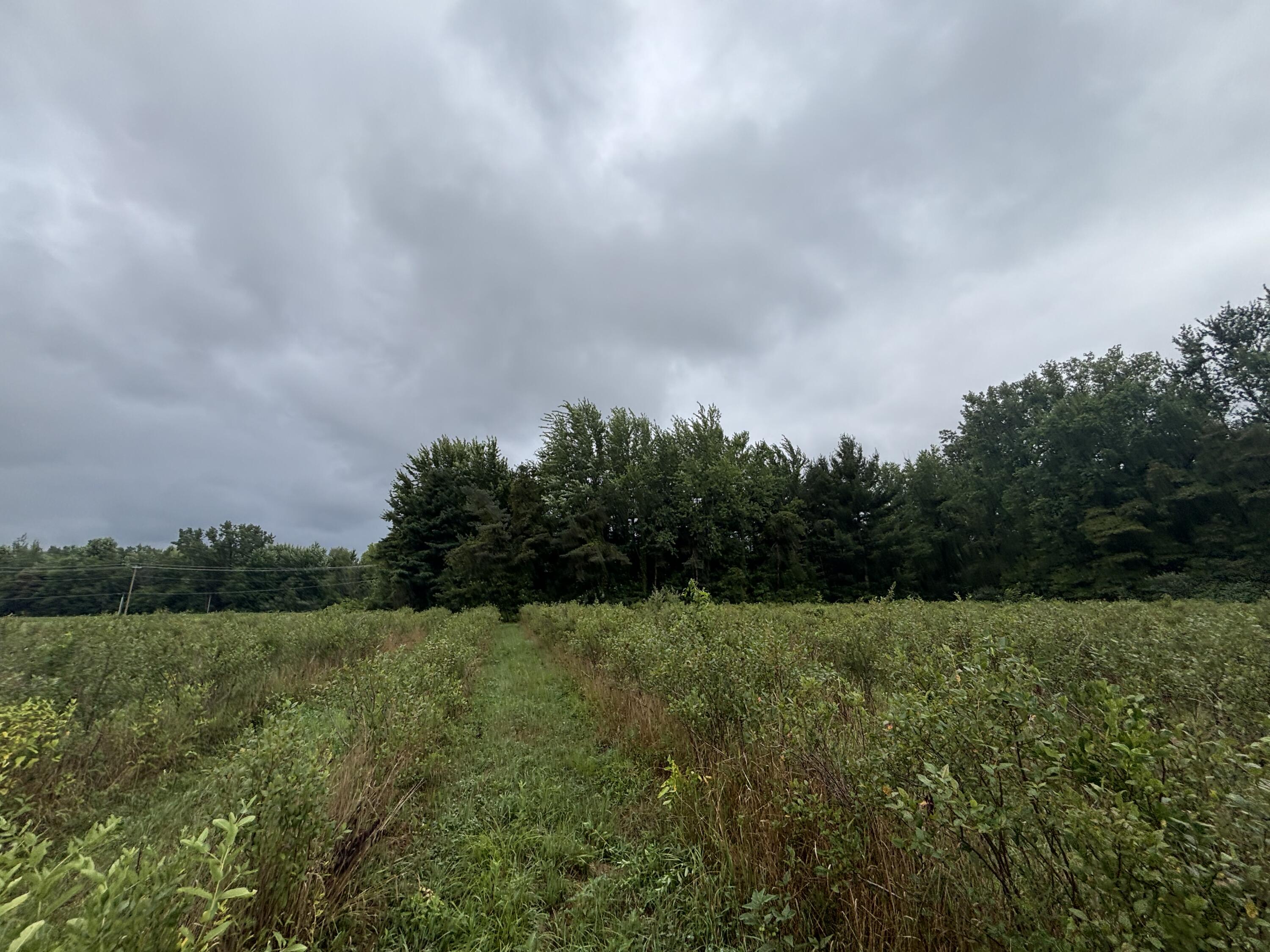 4.17 A Coloma Road Benton Harbor, MI 49022 - Photo 13 of 21 IMG_8747