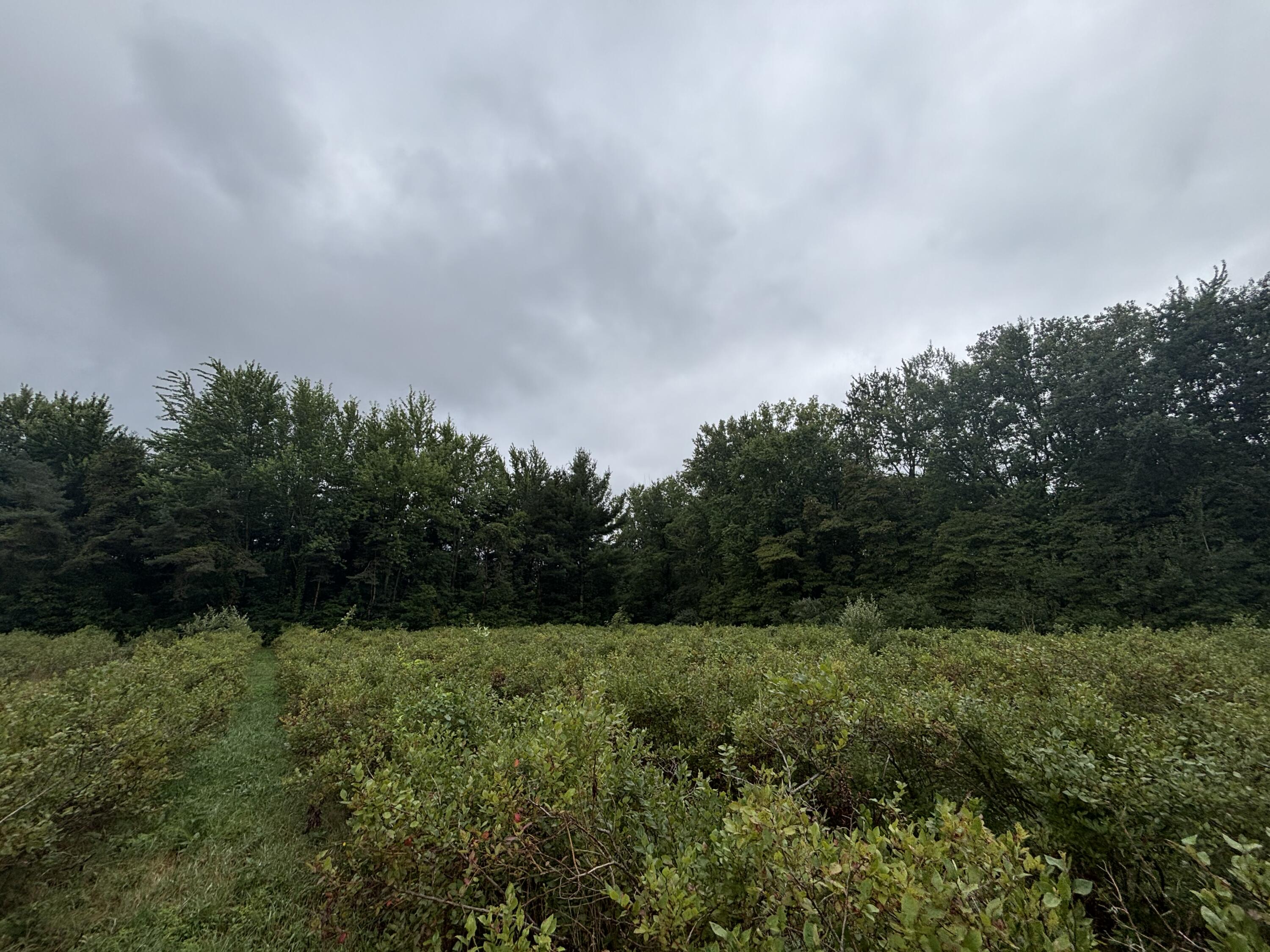 4.17 A Coloma Road Benton Harbor, MI 49022 - Photo 14 of 21 IMG_8749