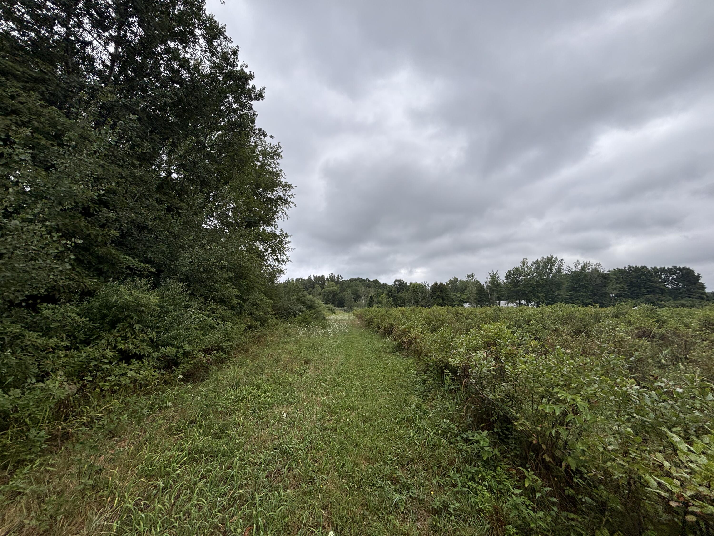 4.17 A Coloma Road Benton Harbor, MI 49022 - Photo 17 of 21 IMG_8755