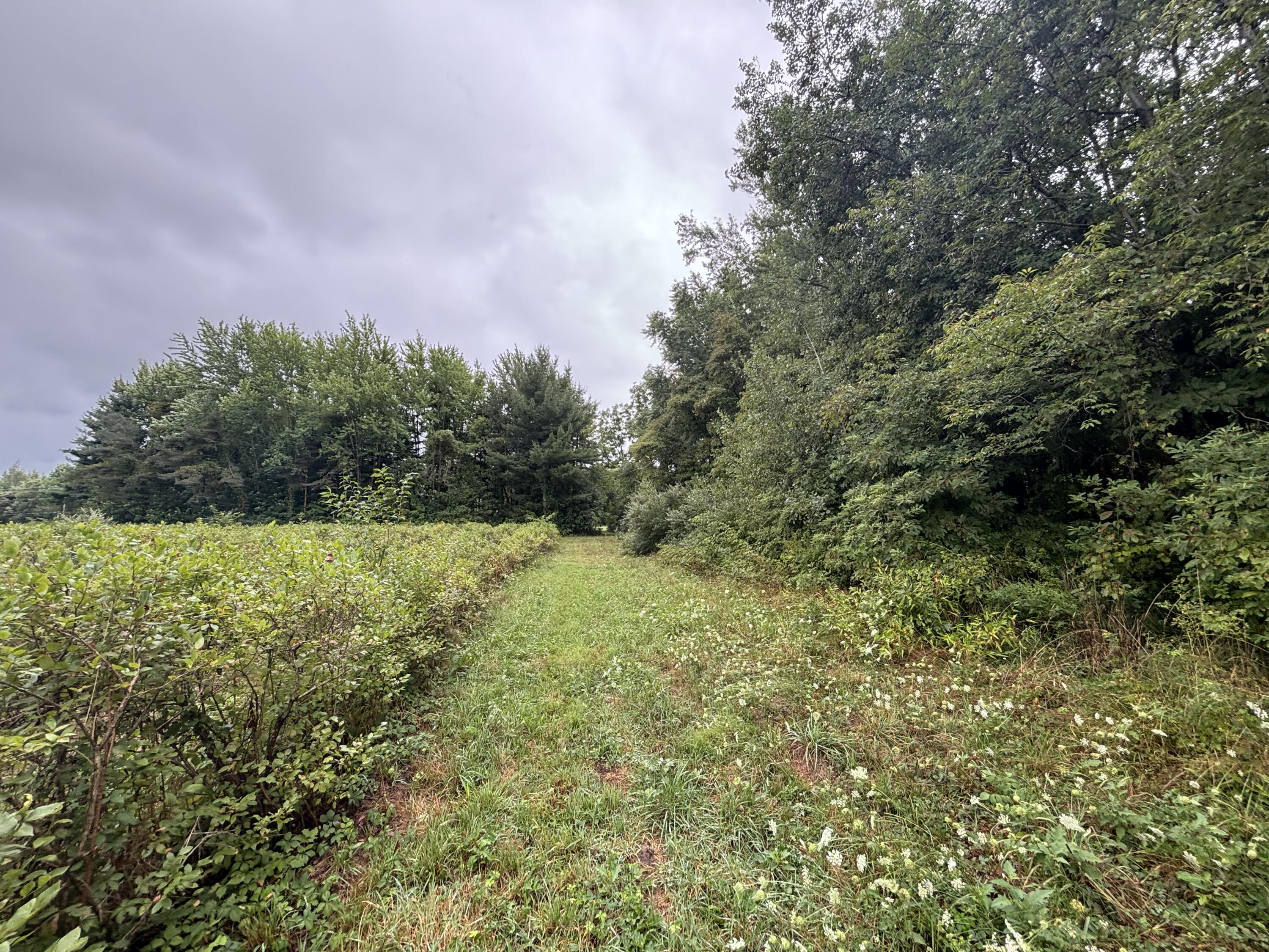 4.17 A Coloma Road Benton Harbor, MI 49022 - Photo 18 of 21 IMG_8757