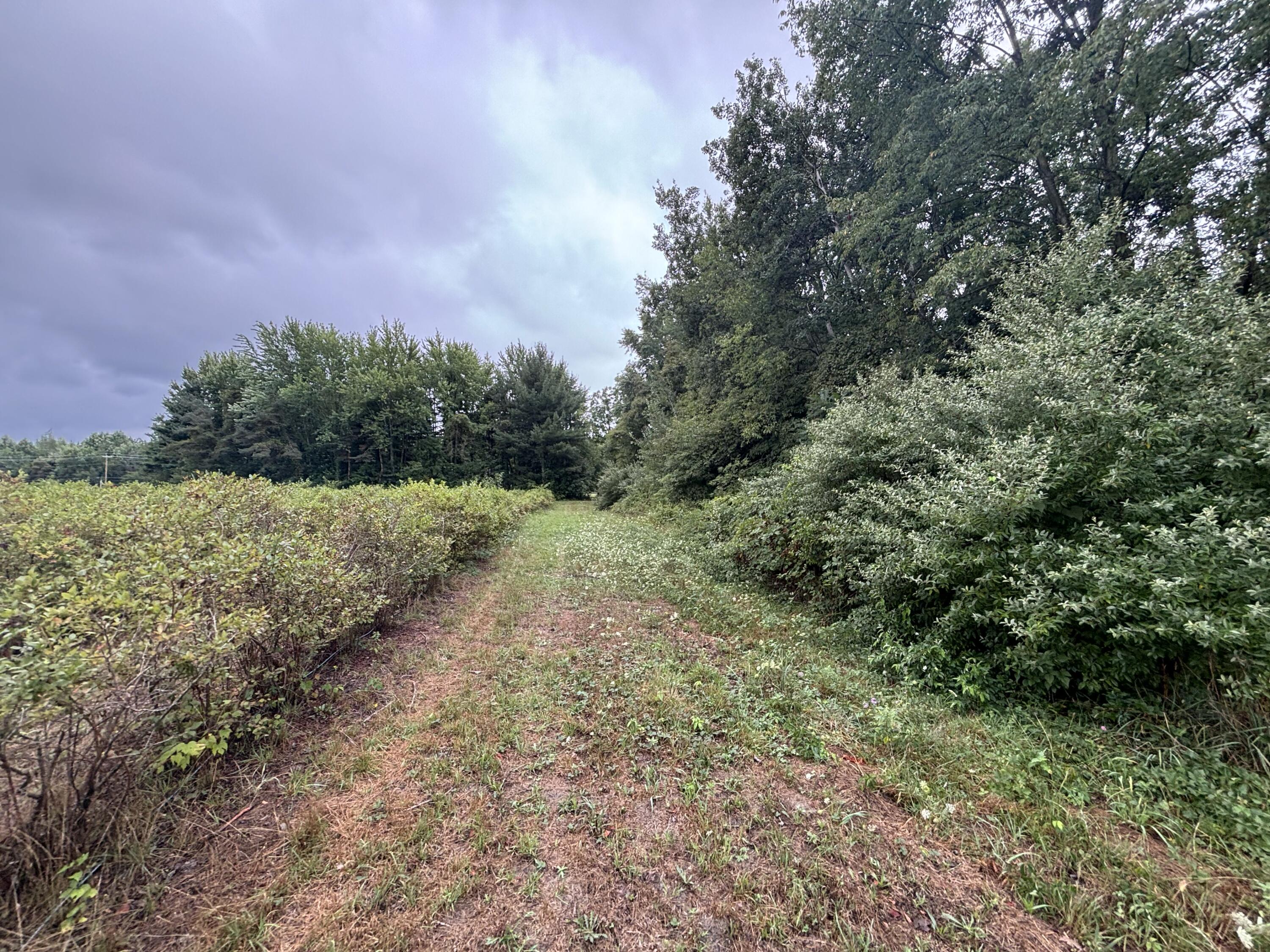 4.17 A Coloma Road Benton Harbor, MI 49022 - Photo 19 of 21 IMG_8759