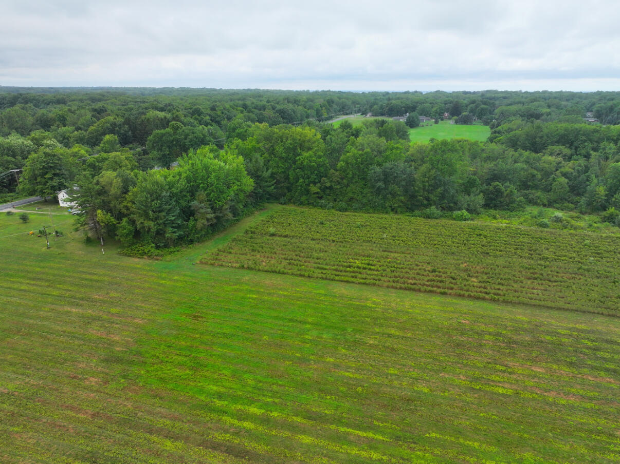 4.17 A Coloma Road Benton Harbor, MI 49022 - Photo 8 of 21 DJI_20250812131502_0876_D