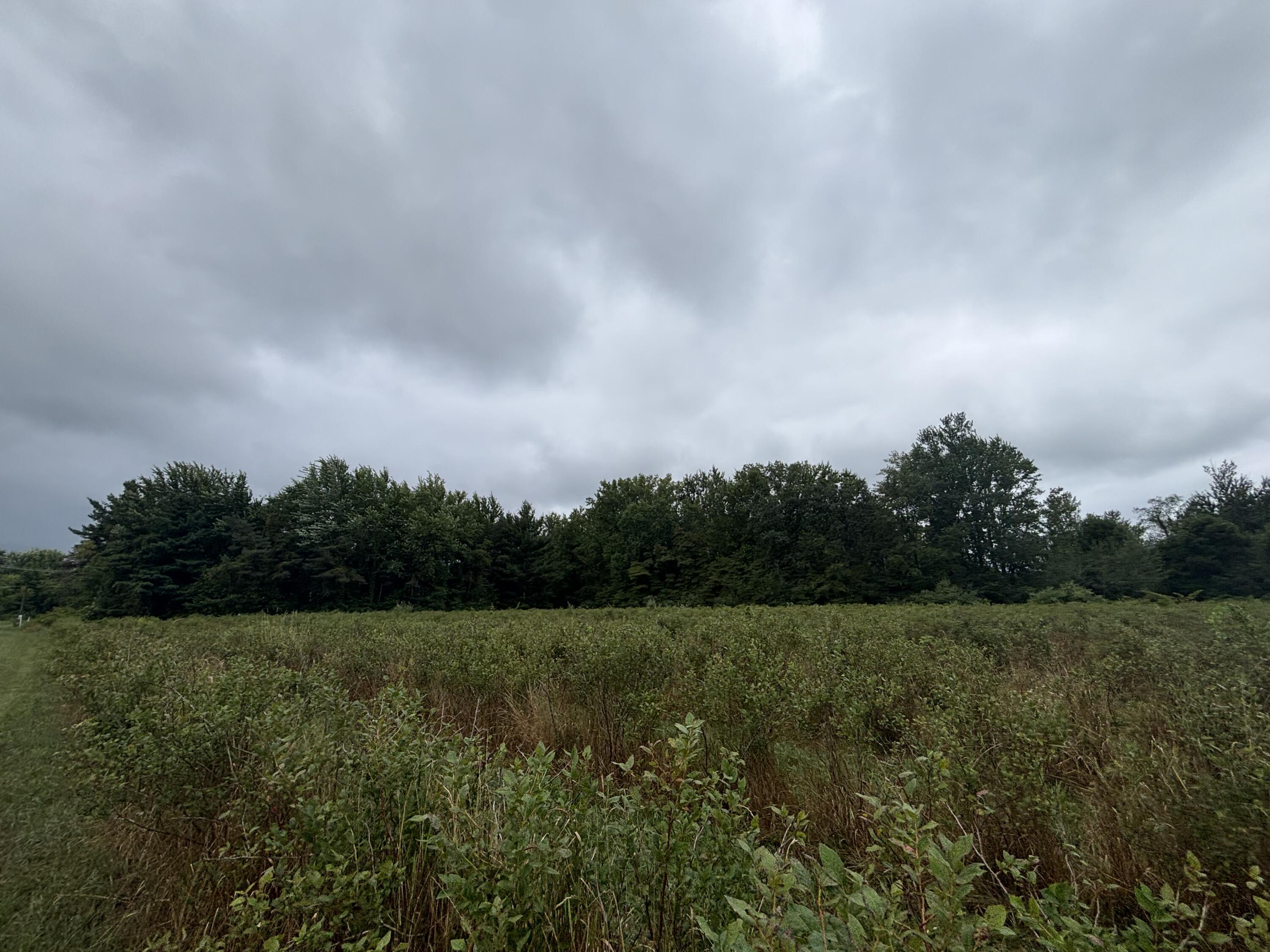 4.17 A Coloma Road Benton Harbor, MI 49022 - Photo 10 of 21 IMG_8742