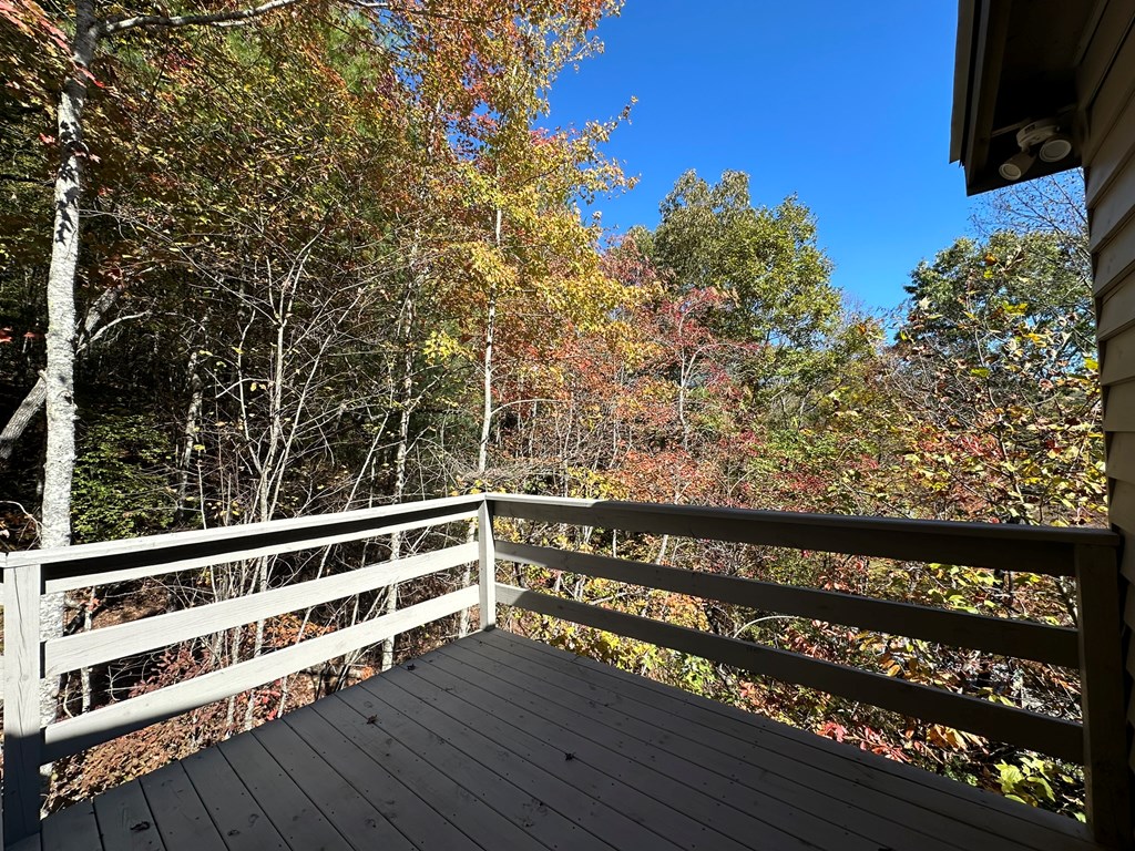 34 Uphill Road Blue Ridge, GA 30513 - Photo 46 of 85