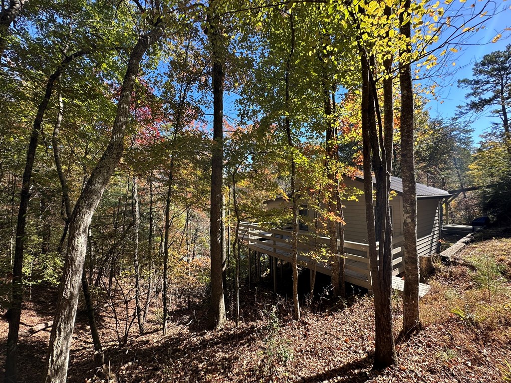 34 Uphill Road Blue Ridge, GA 30513 - Photo 68 of 85