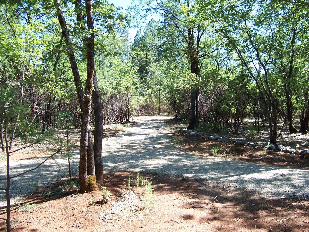 0 Blue Mountain Ranch Road Whitmore, CA 96096 - Photo 4 of 5 a view of a yard with large trees