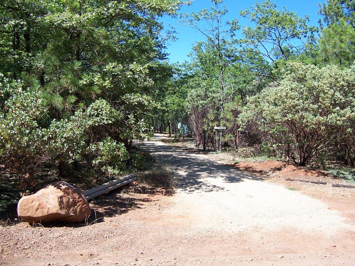 0 Blue Mountain Ranch Road Whitmore, CA 96096 - Photo 5 of 5 a view of a yard with plants and trees