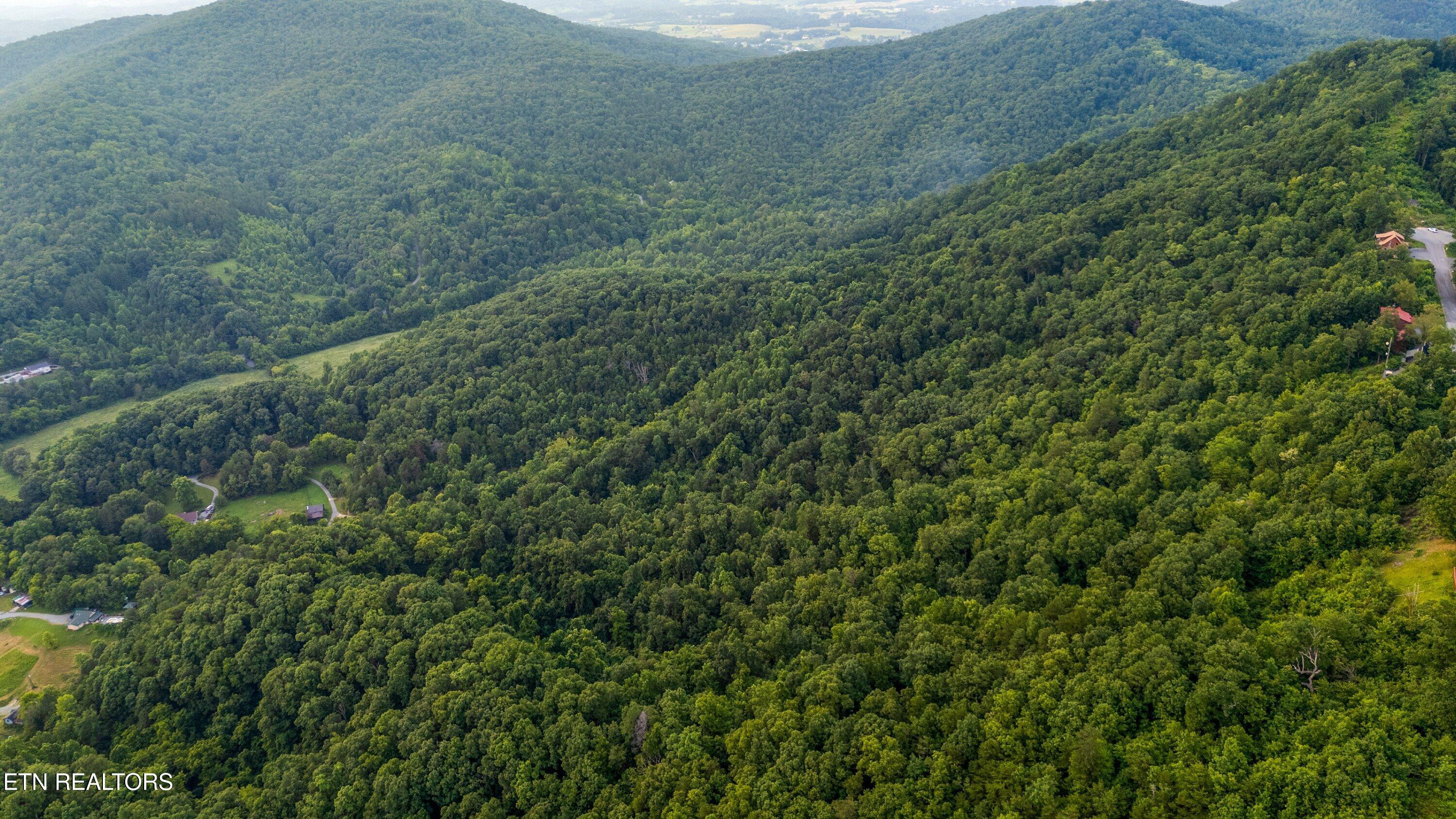 5 Shell Mountain Road Sevierville, TN 37876 - Photo 19 of 28 Shell Mountain Road