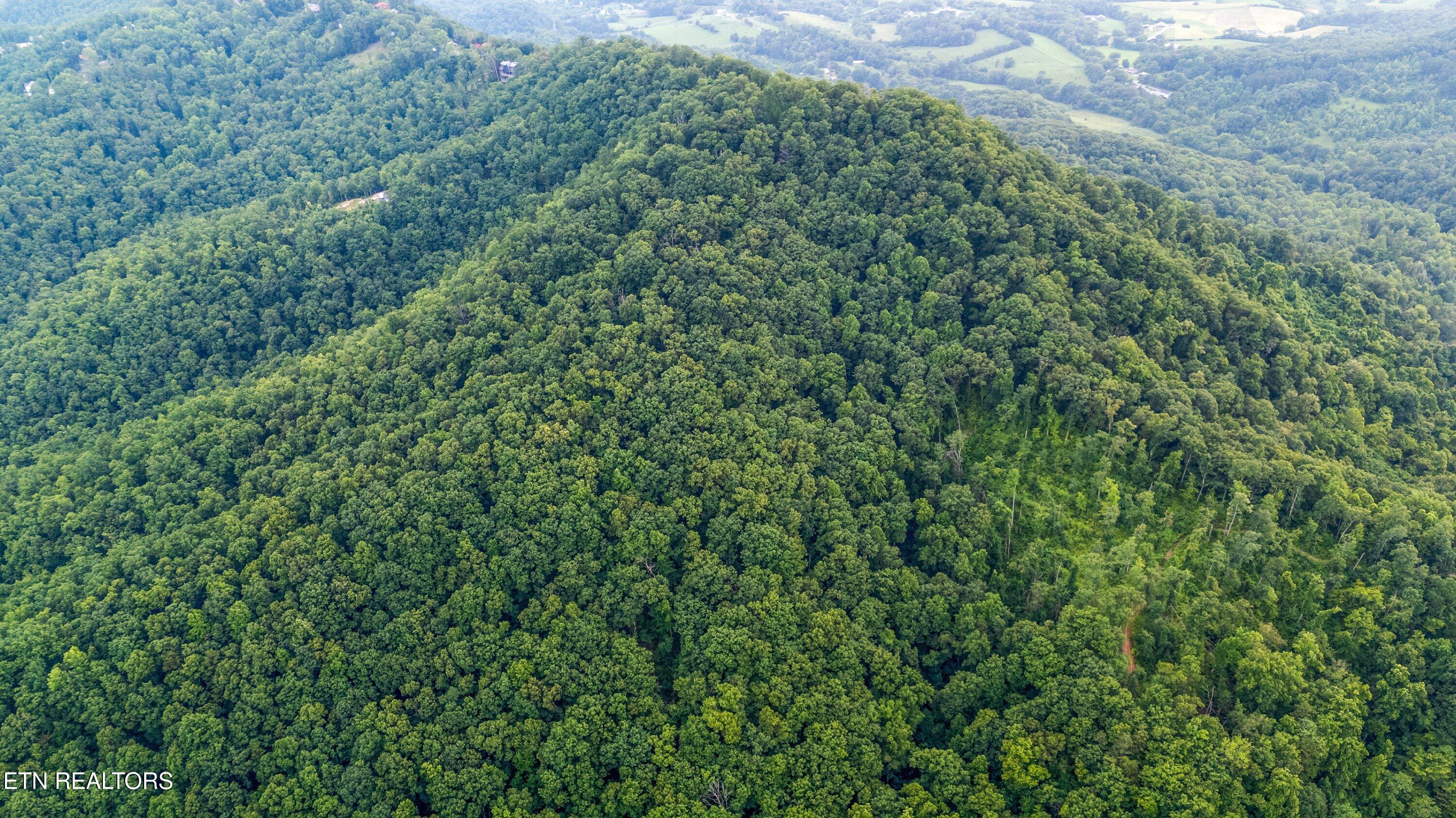 5 Shell Mountain Road Sevierville, TN 37876 - Photo 9 of 28 Shell Mountain Road