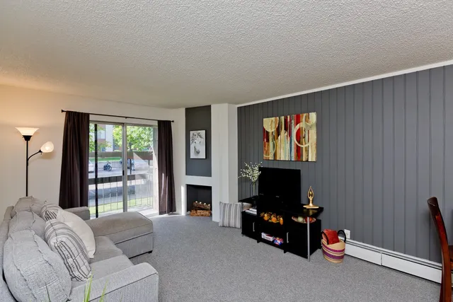 a living room with furniture a flat screen tv and a fireplace