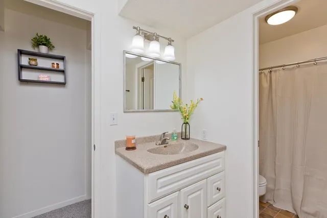 a bathroom with a sink a vanity and a mirror