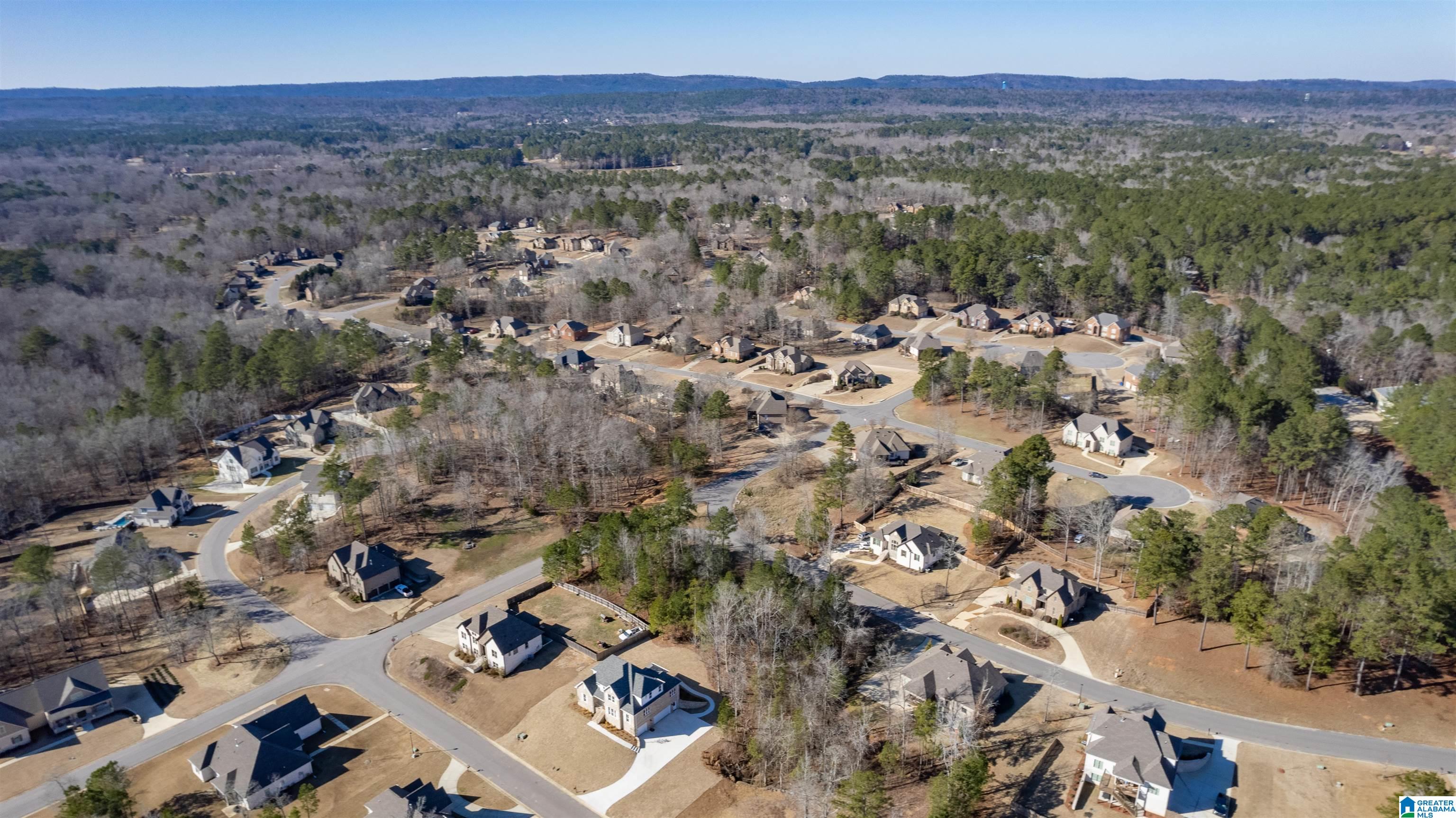 116 Bolivar Lane Chelsea, AL 35043 - Photo 45 of 56