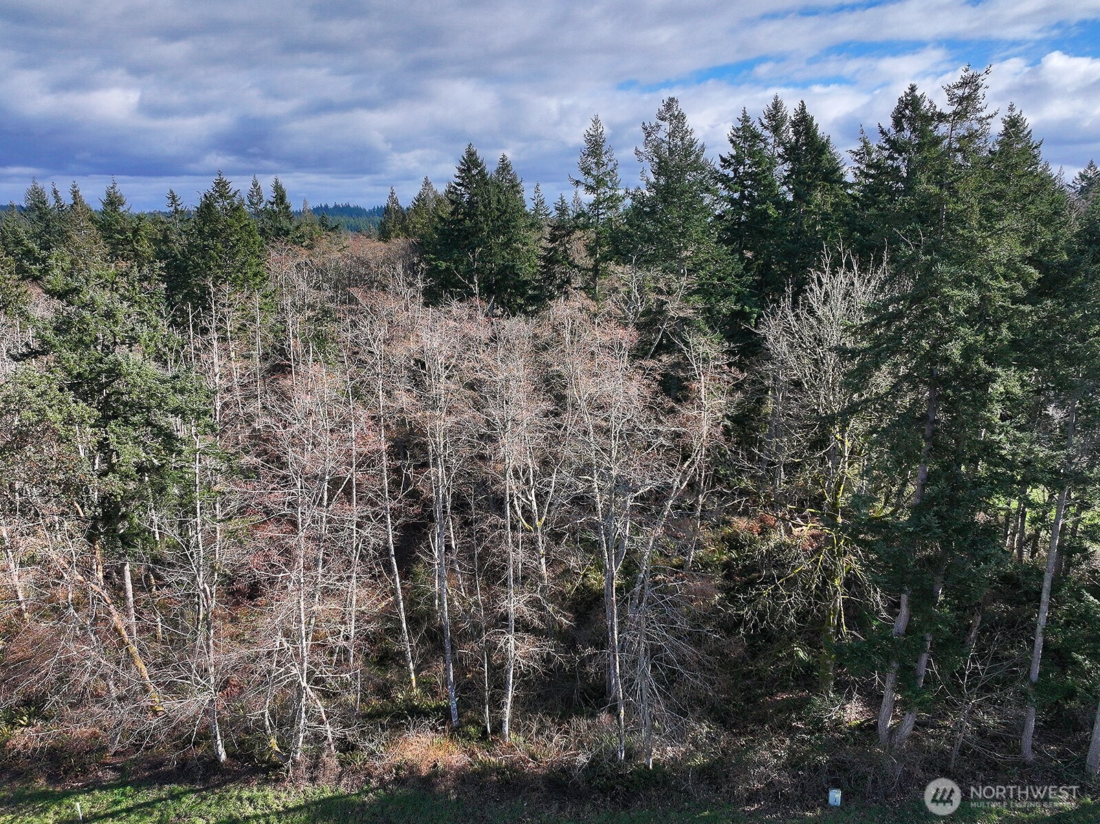 -xxx Xxx Scatchet Head Road Clinton, WA 98236 - Photo 17 of 34 a view of a city with lush green forest