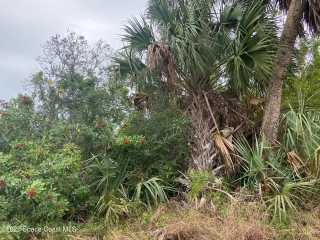 $525,000 | Tbd Lot 5 Tbd, Malabar, FL 32950