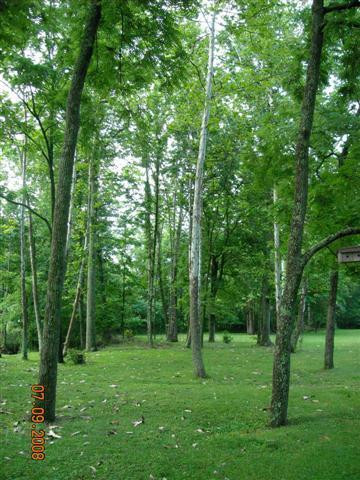 850 South Ware Chappel Road Jeffersonville, KY 40337 - Photo 8 of 8 Photo 8