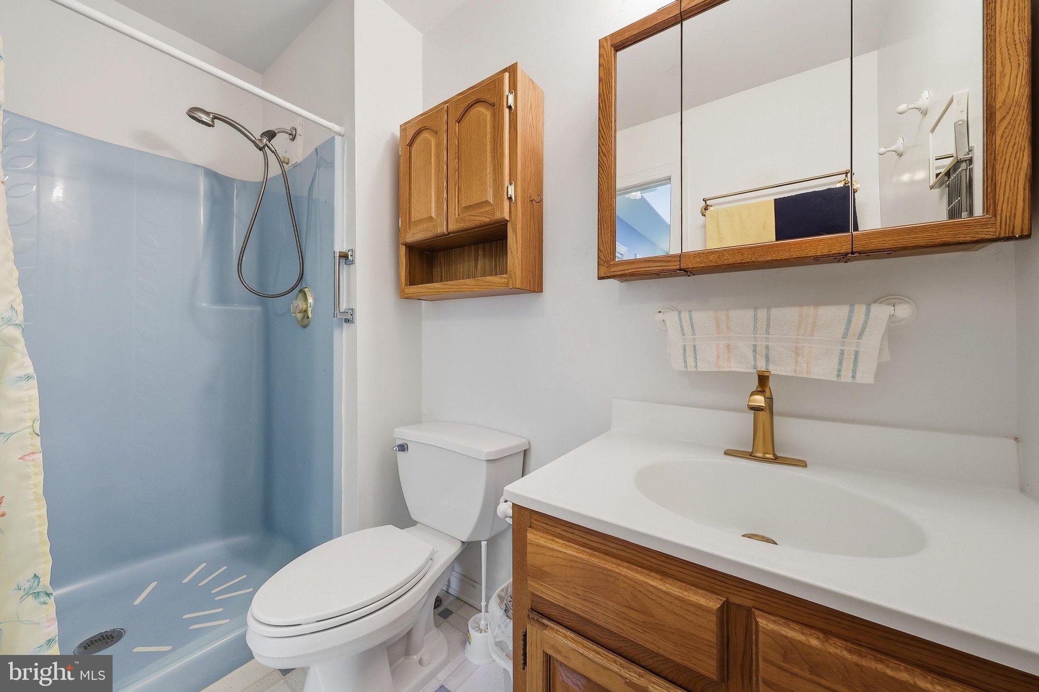 1716 Gablehammer Road Westminster, MD 21157 - Photo 26 of 52 Primary Bathroom