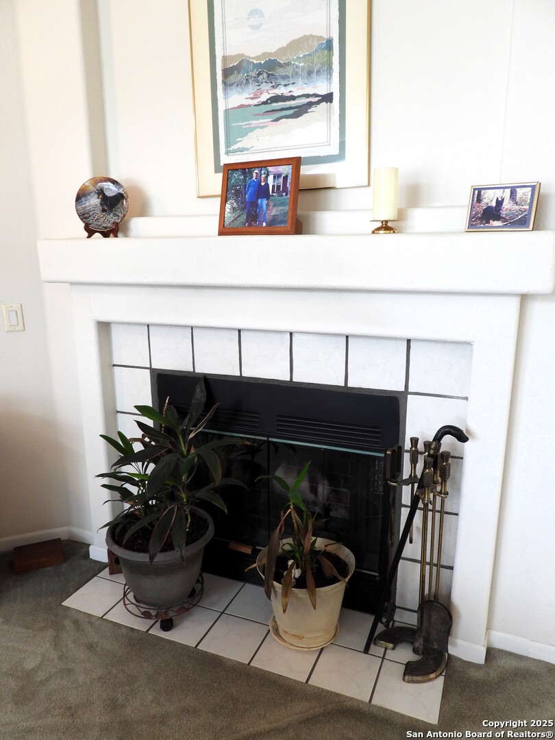 460 Faurie Road Lakehills, TX 78063 - Photo 11 of 46 Gallery Image 11