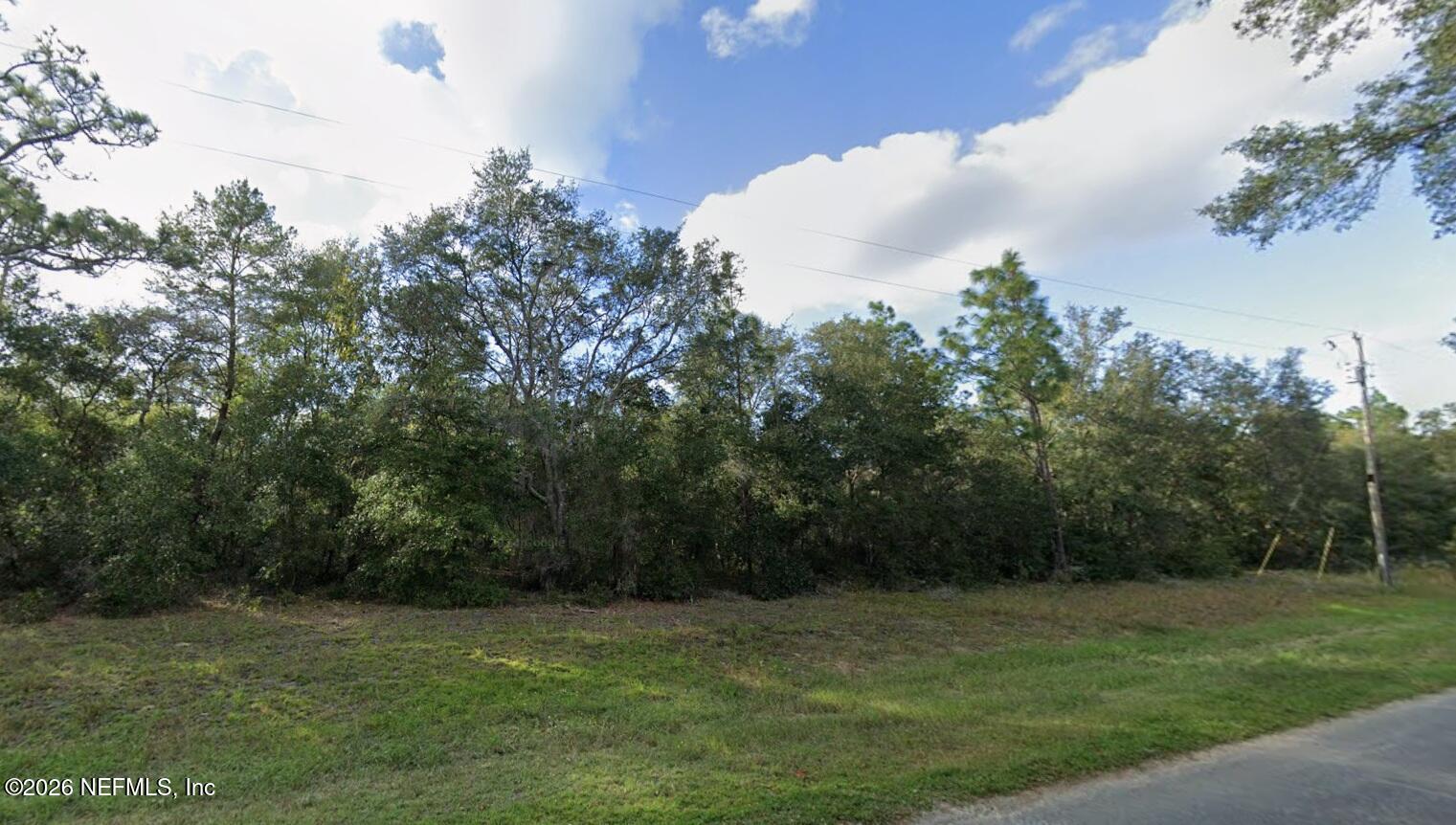 a view of a field with trees in background