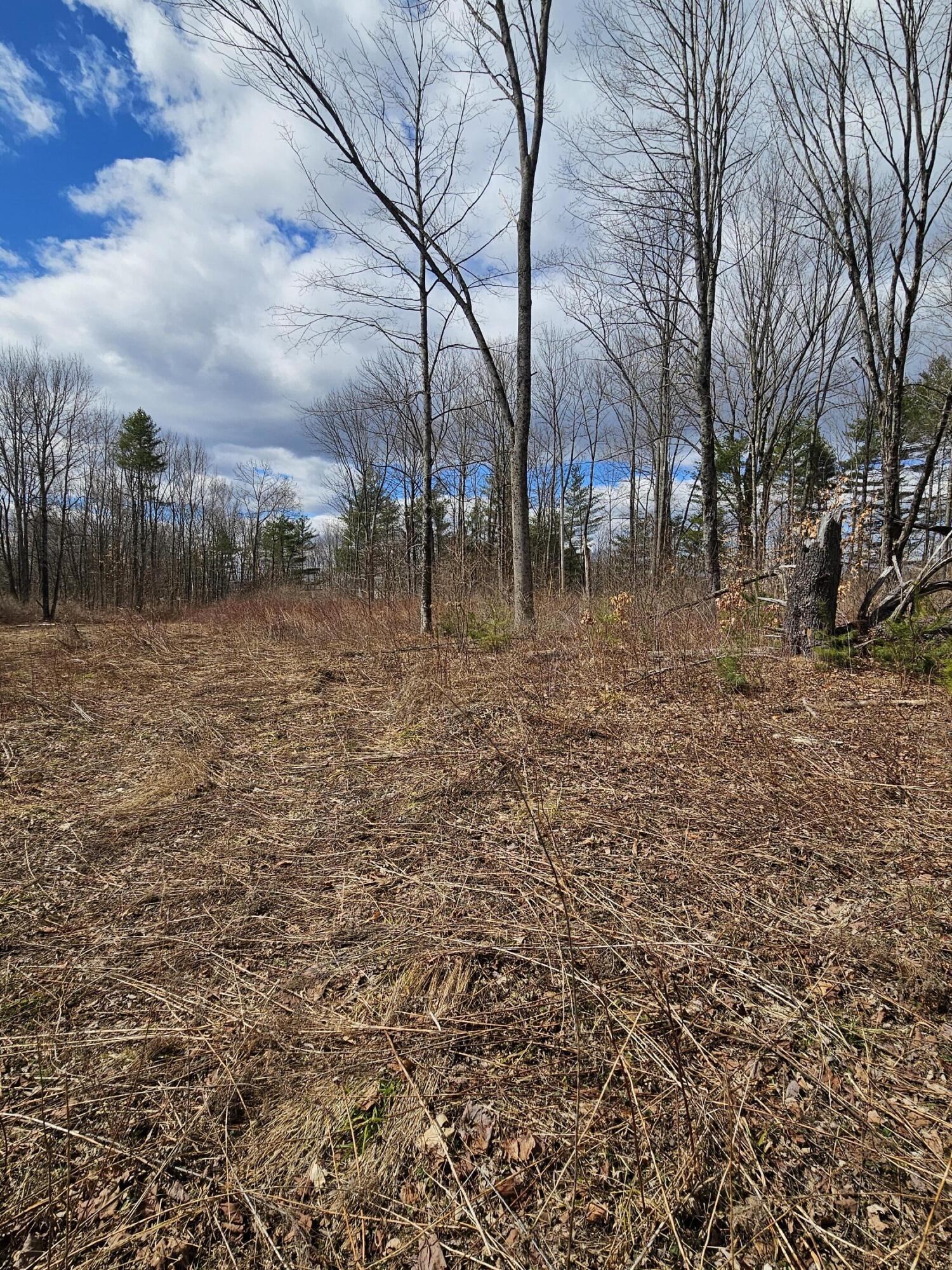 Lot 113-2 Cushman Road Winslow, ME 04901 - Photo 8 of 24 1000066957
