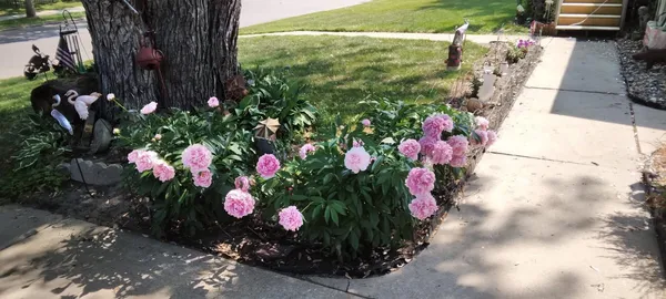 $219,900 | 100 Northwest 10th Street, Grand Rapids, MN 55744