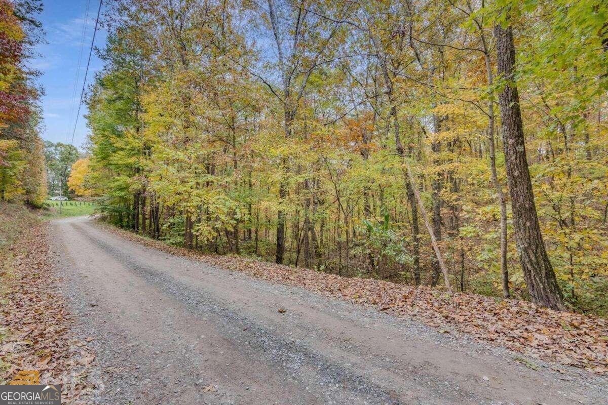 0 Old Federal Road Talking Rock, GA 30175 - Photo 2 of 9