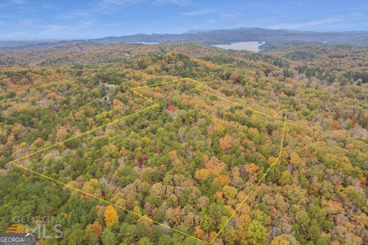 0 Old Federal Road Talking Rock, GA 30175 - Photo 4 of 9