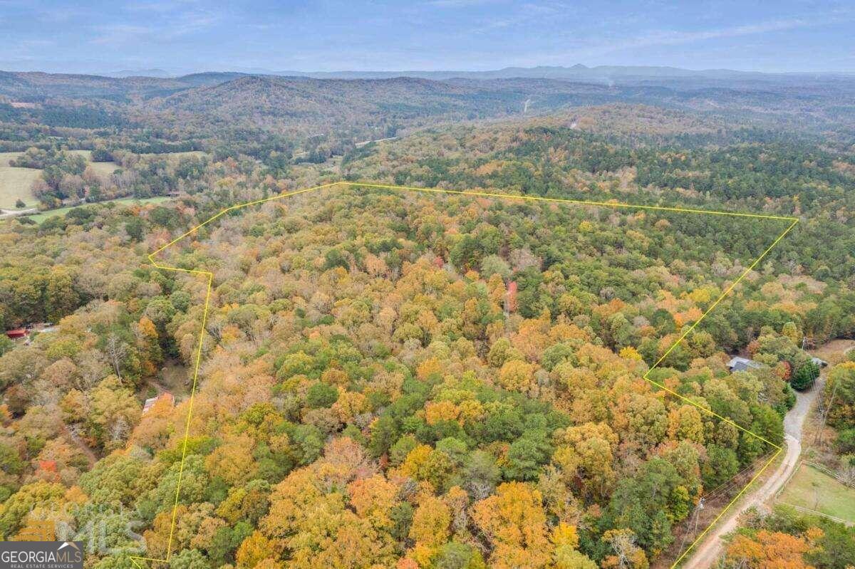 0 Old Federal Road Talking Rock, GA 30175 - Photo 8 of 9