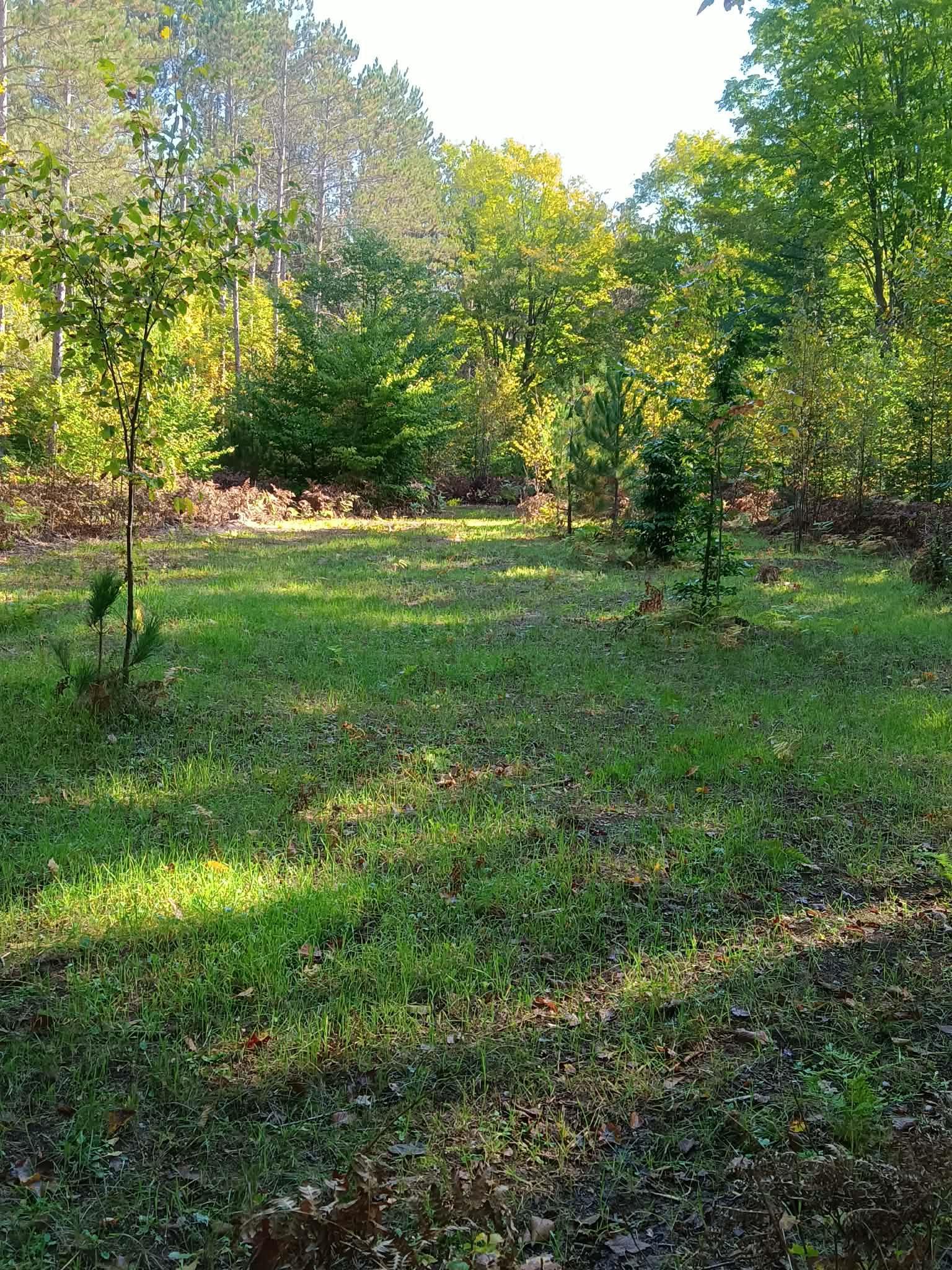 13544 Aylsworth Road Beulah, MI 49617 - Photo 5 of 29