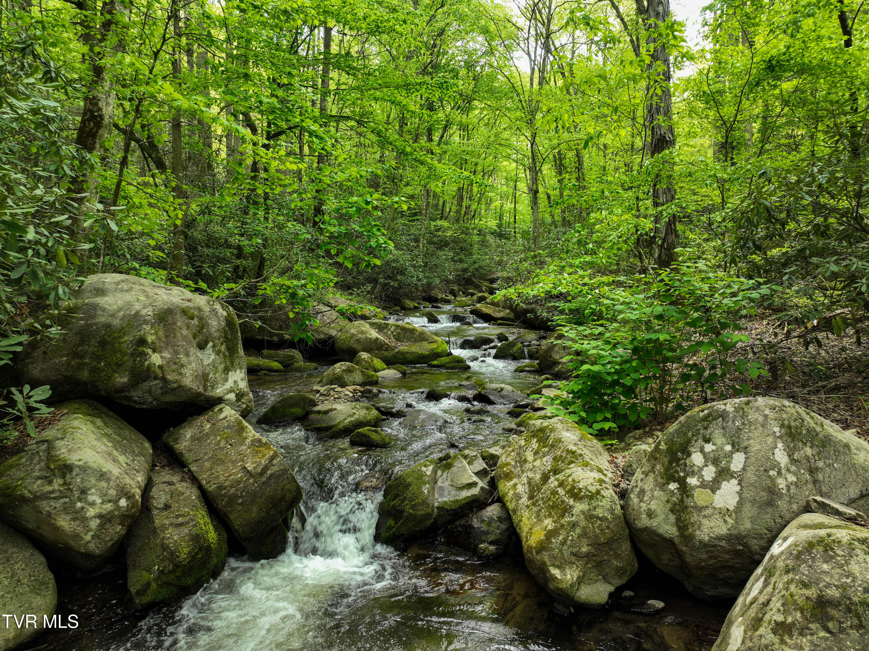 275 Tiger Creek Road Roan Mountain, TN 37687 - Photo 93 of 104 275 Tiger Creek Rd Drone WALLACE-40