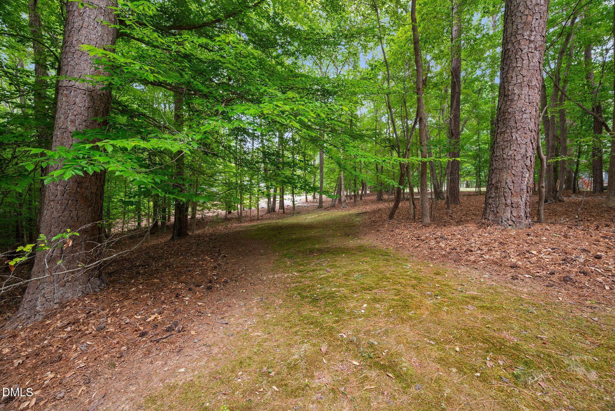 9913 Longford Drive Raleigh, NC 27615 - Photo 68 of 93 13_DSC_9438