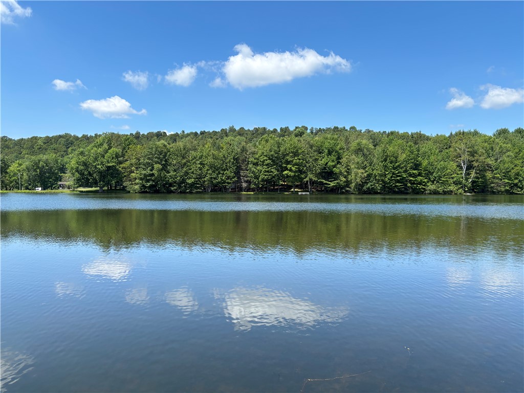 179 Sparrowhawk Lake Road Maryland, NY 12155 - Photo 45 of 49