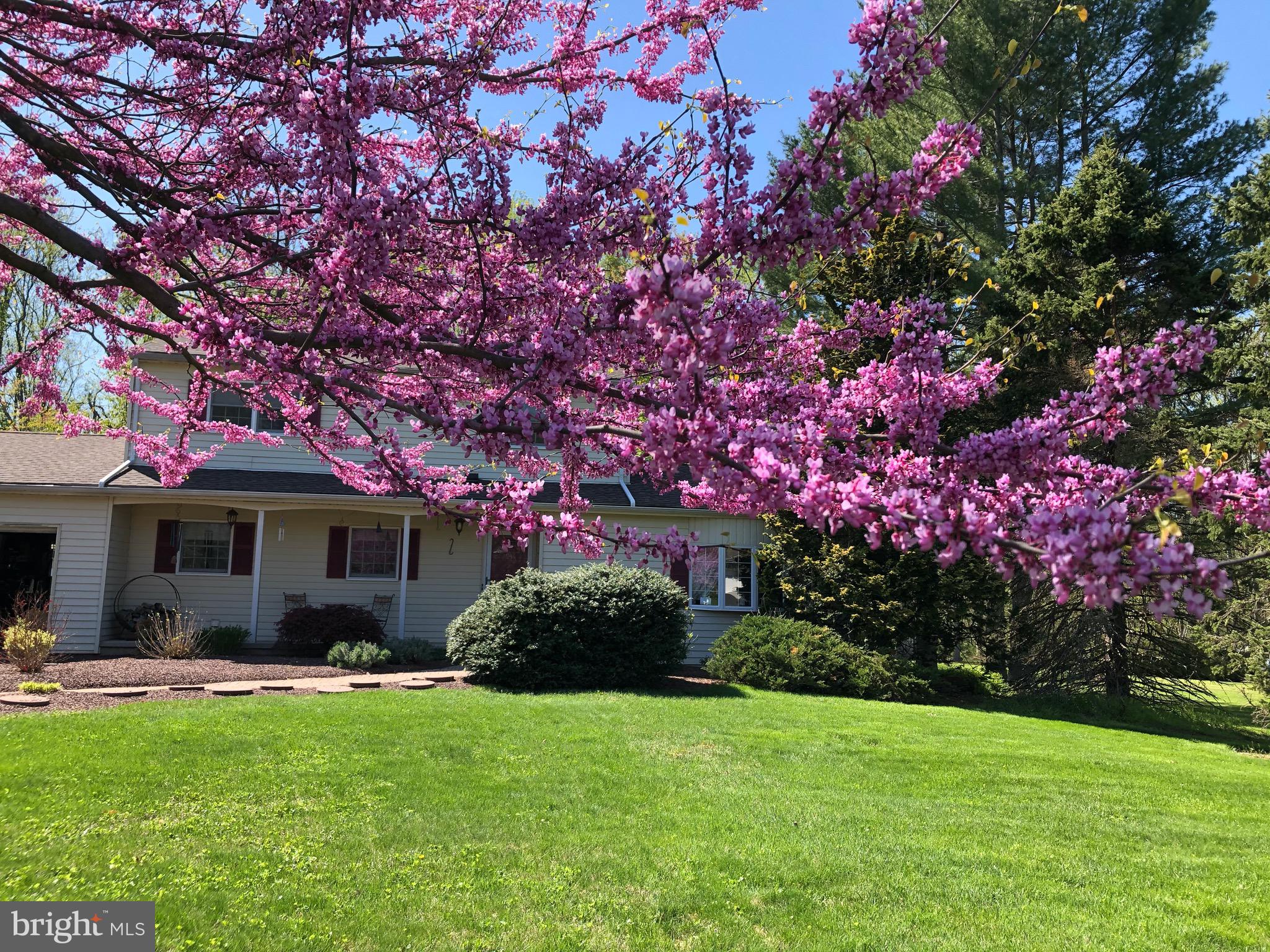 95 Richardson Road Robbinsville, NJ 08691 - Photo 26 of 30 Springtime in Bloom!